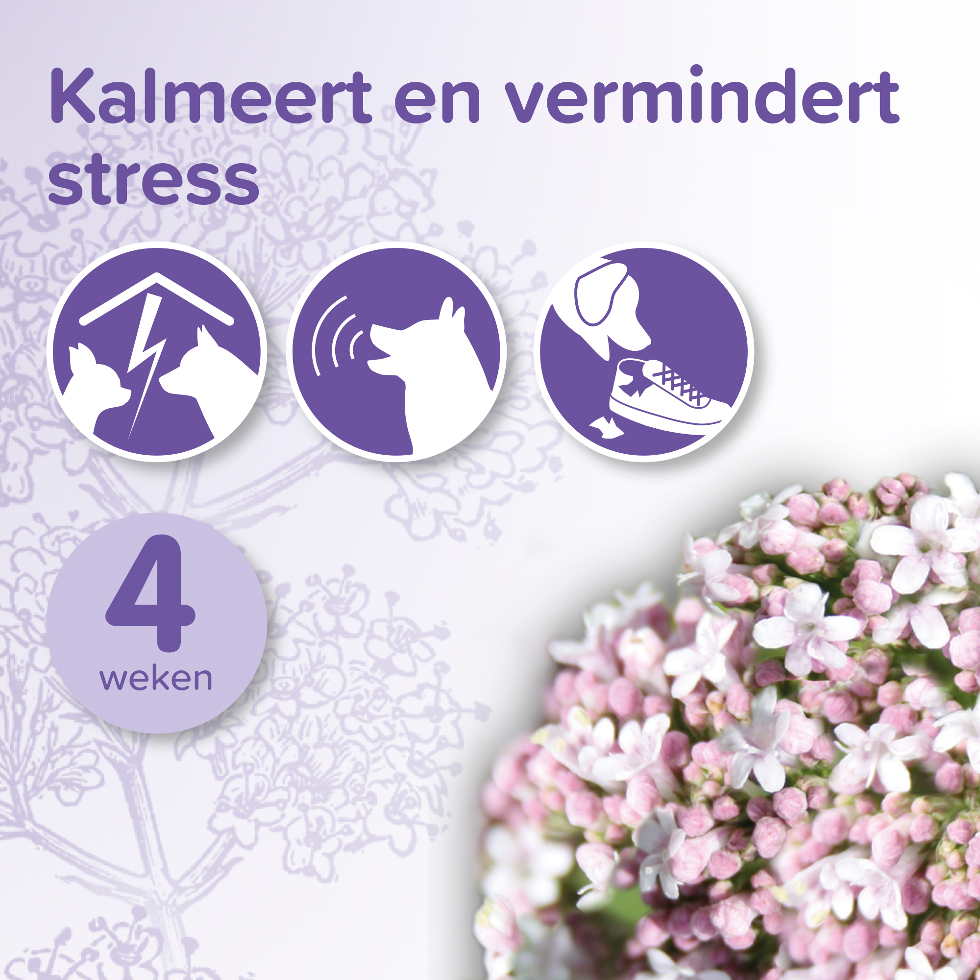 Beaphar No Stress Verdamper & Vulling hond