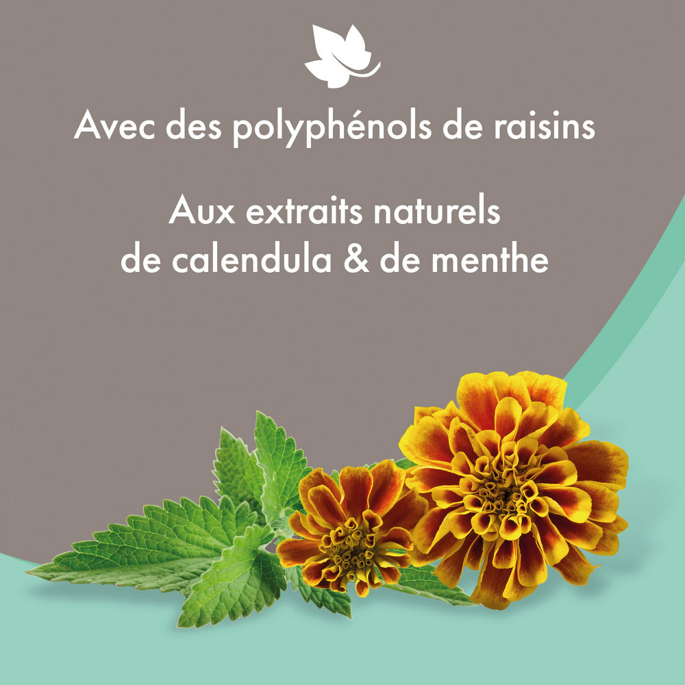 Shampooing premium Empreinte - Anti-Démangeaisons extraits naturels de calendula & de menthe - 250 ml