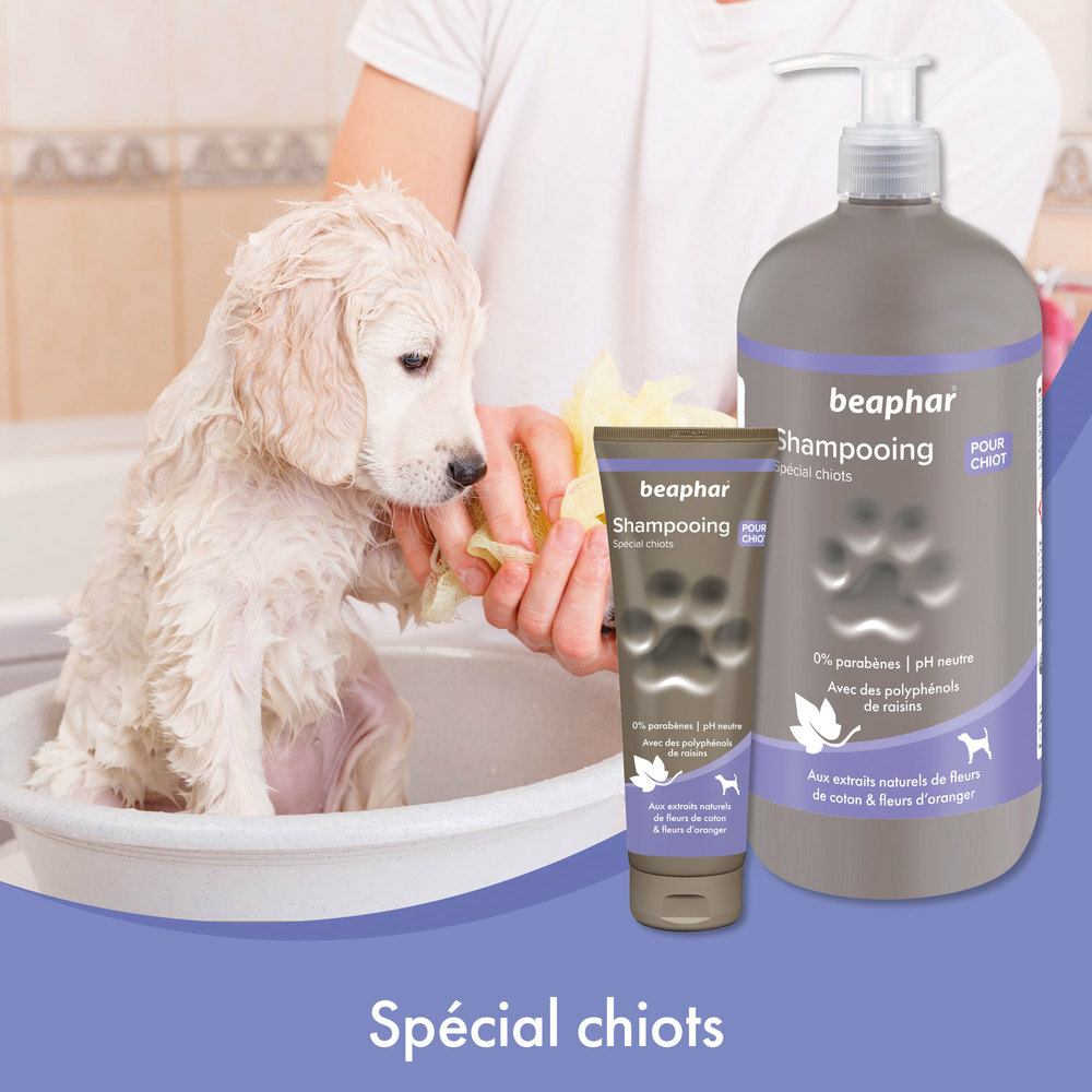 Shampooing premium Empreinte - Spécial chiots extraits naturels de fleurs de coton & fleurs d’oranger - 250 ml