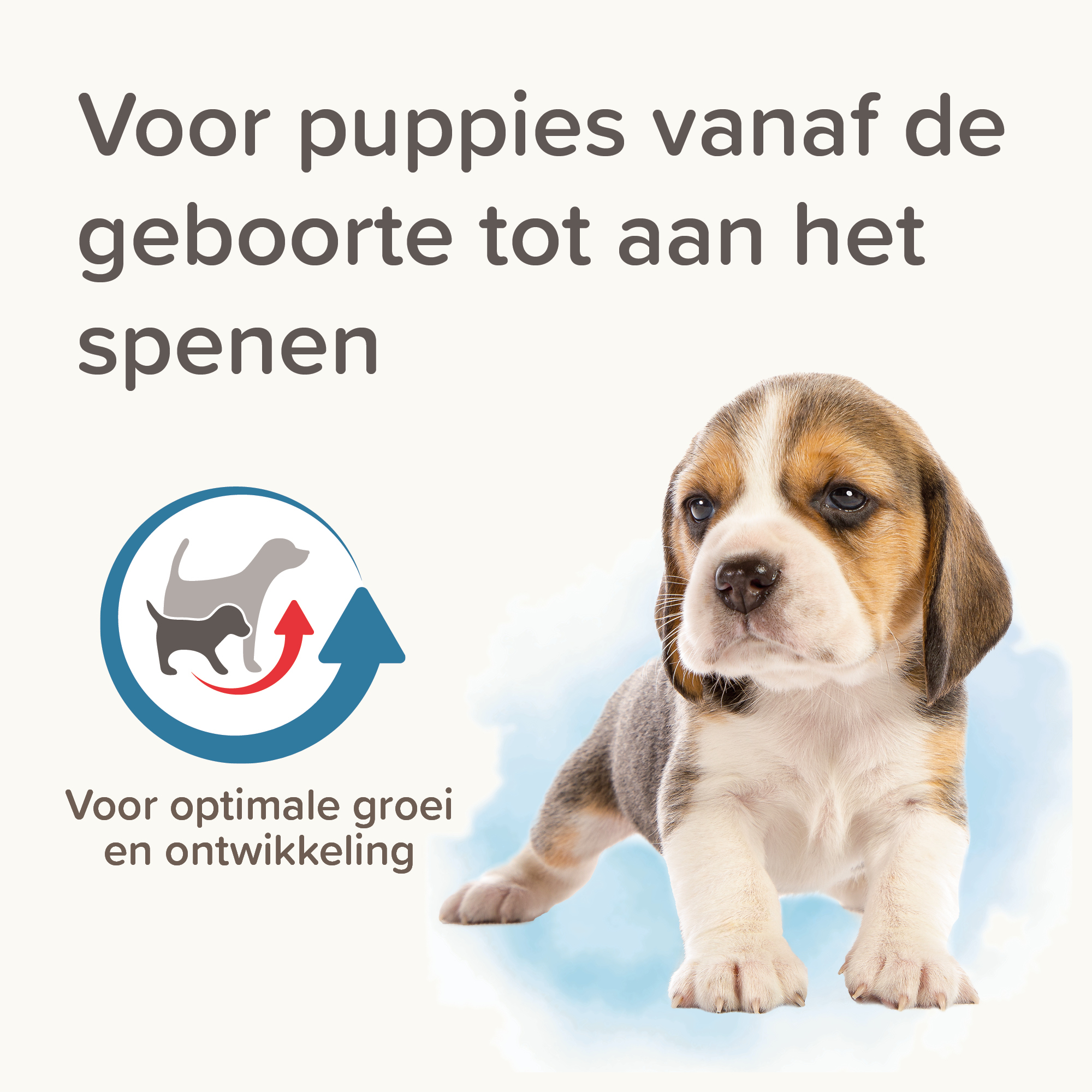 Lactol Puppy Milk 250g
