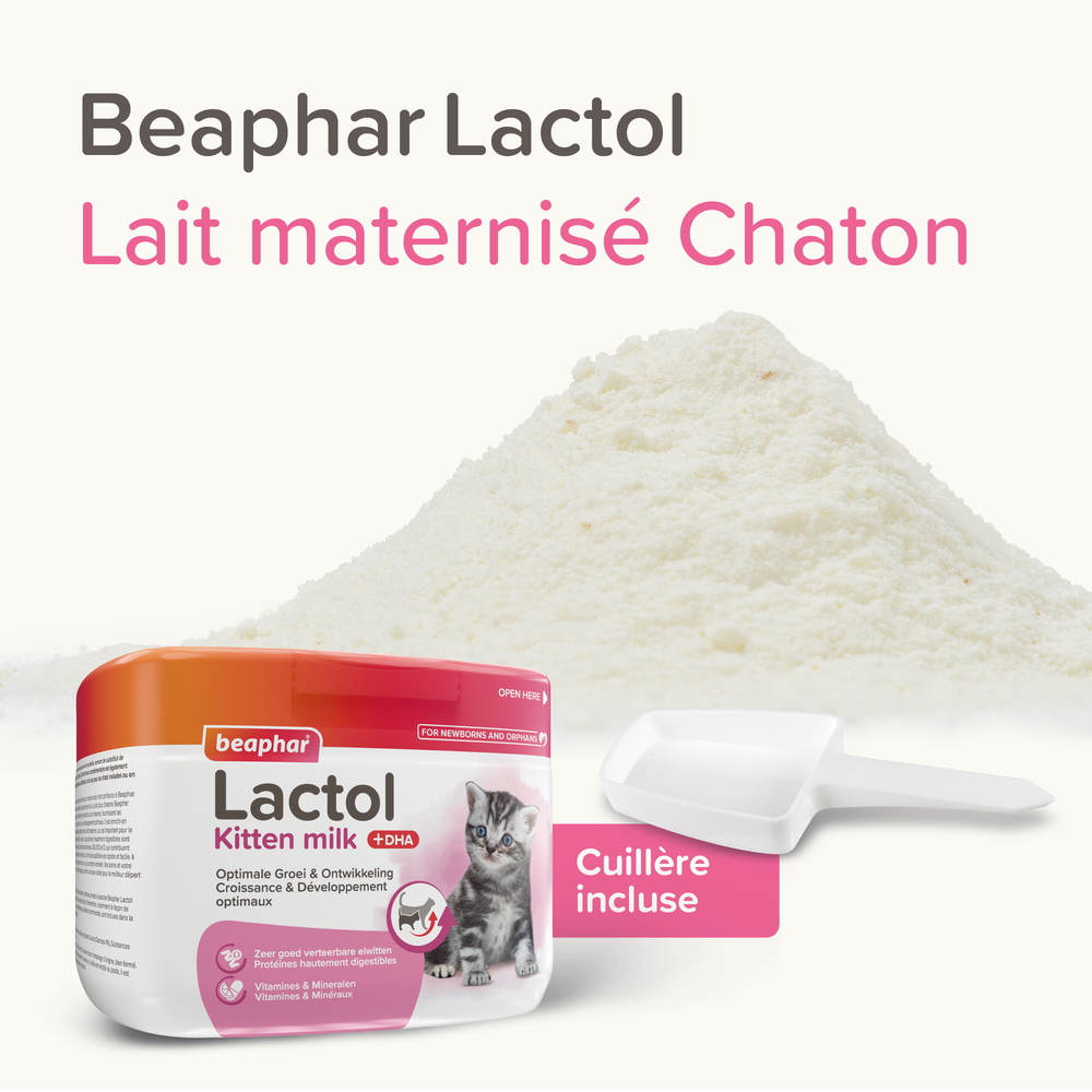 LACTOL, lait maternisé pour chaton - 250 g