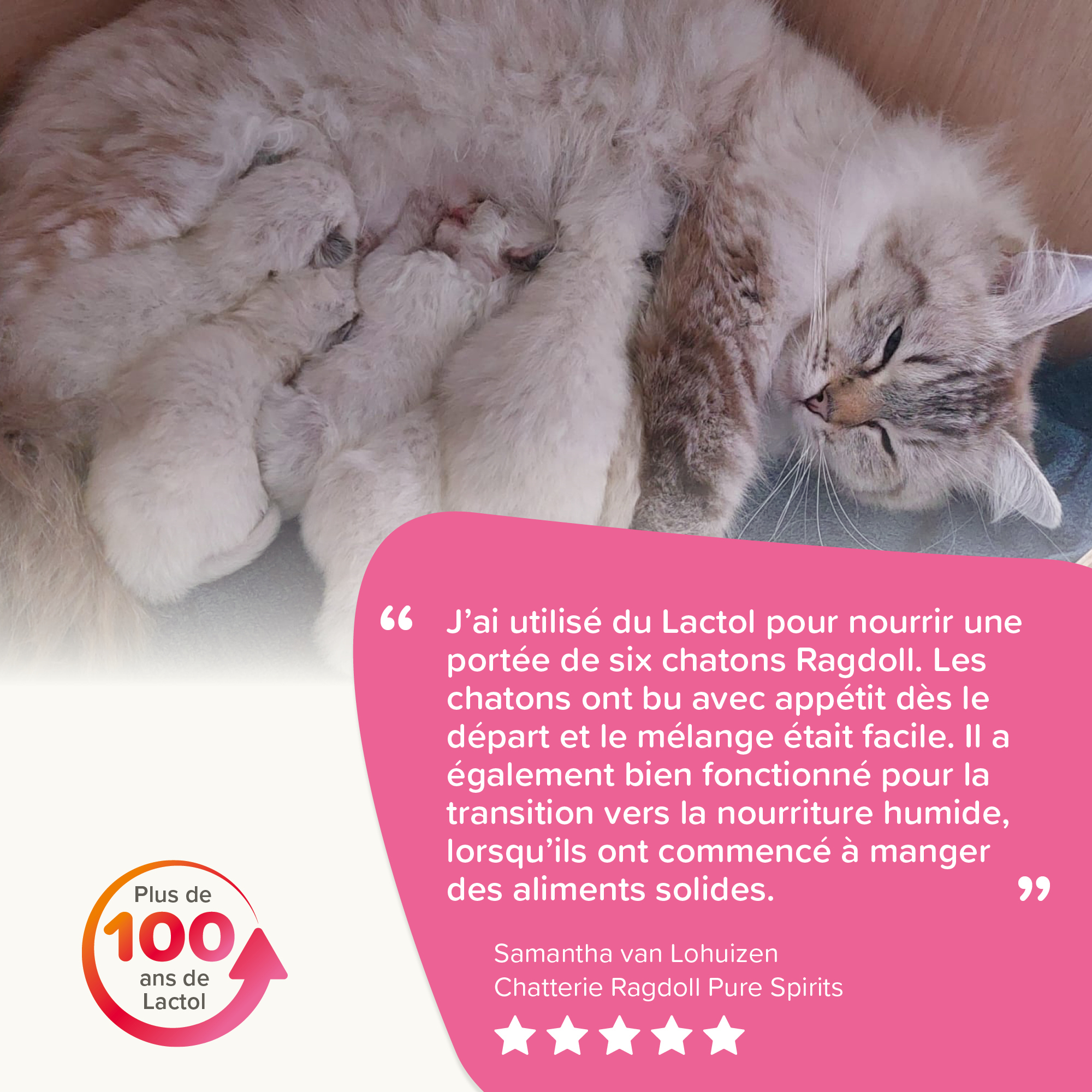 LACTOL, lait maternisé pour chaton - 250 g
