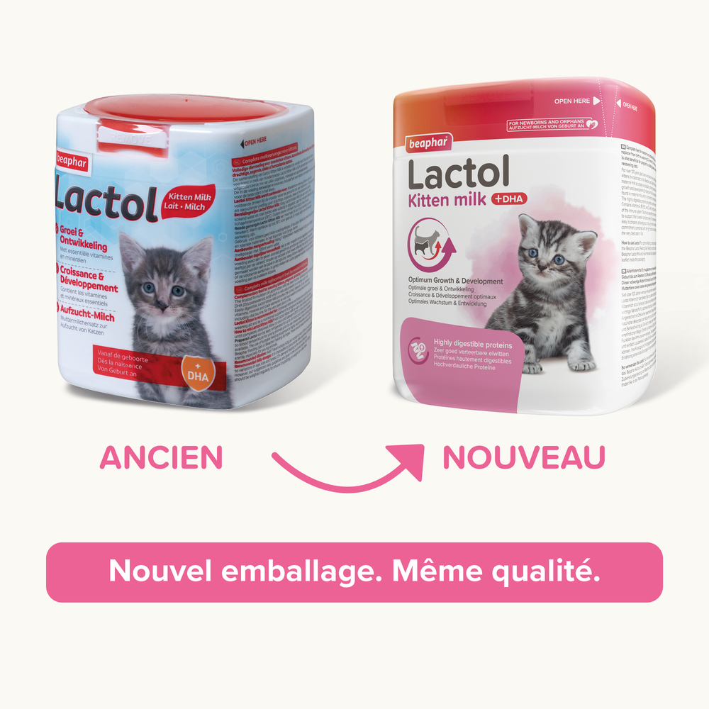 LACTOL, lait maternisé pour chaton
