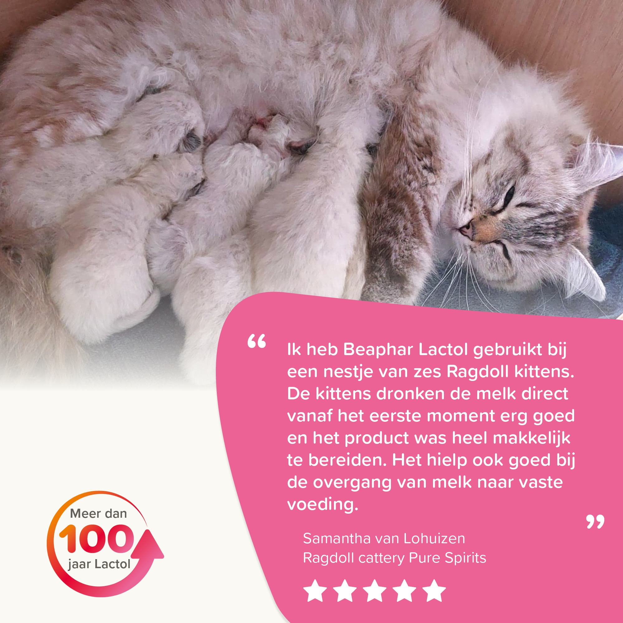 Beaphar Lactol Kitten Milk 500g