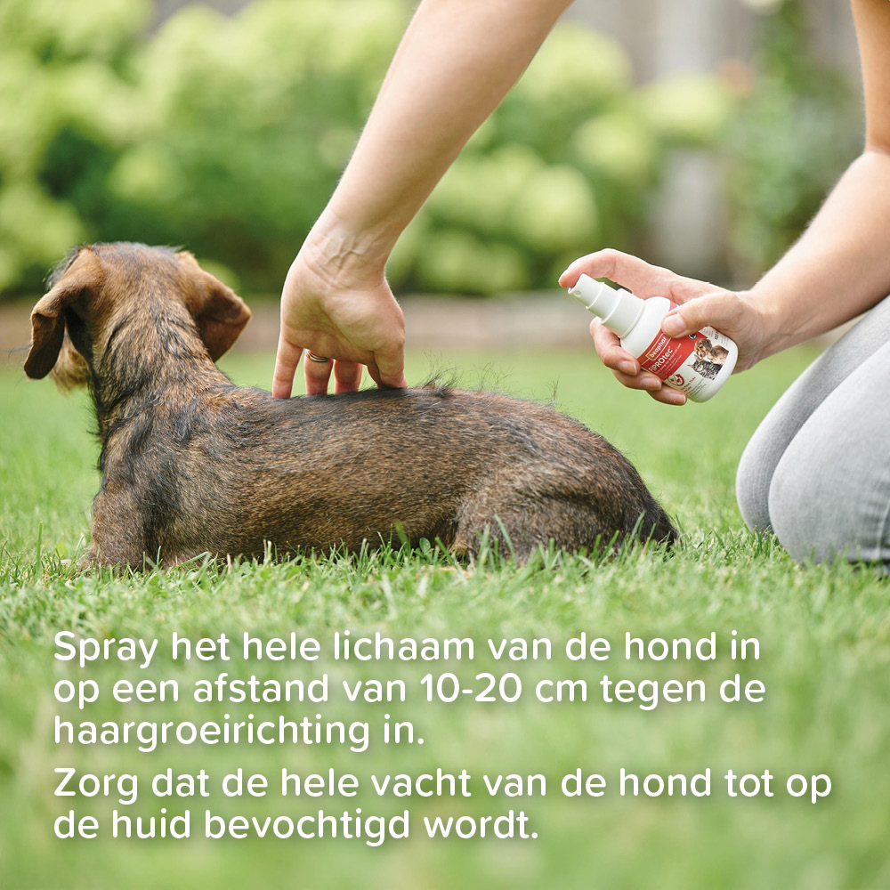 Beaphar FIPROtec® Spray 100ml