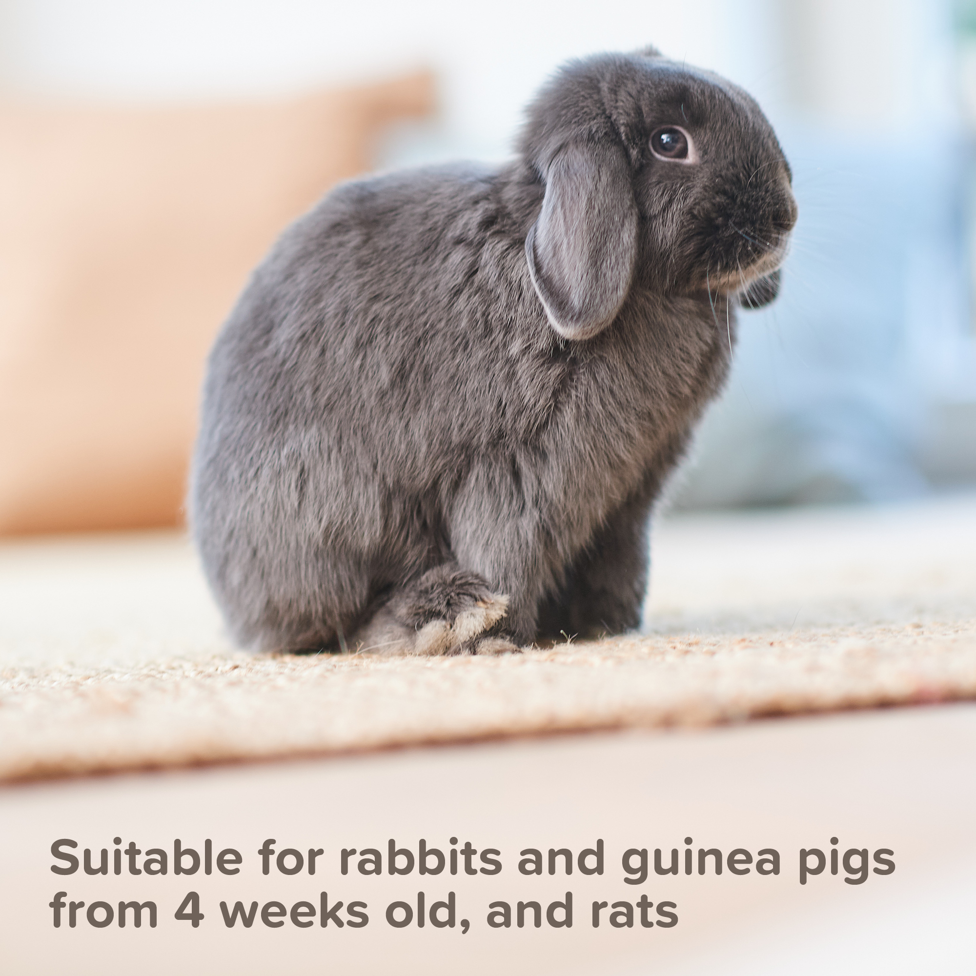 Beaphar Anti-Mange Spray for Rabbits, Guinea Pigs and Rats, 75ml