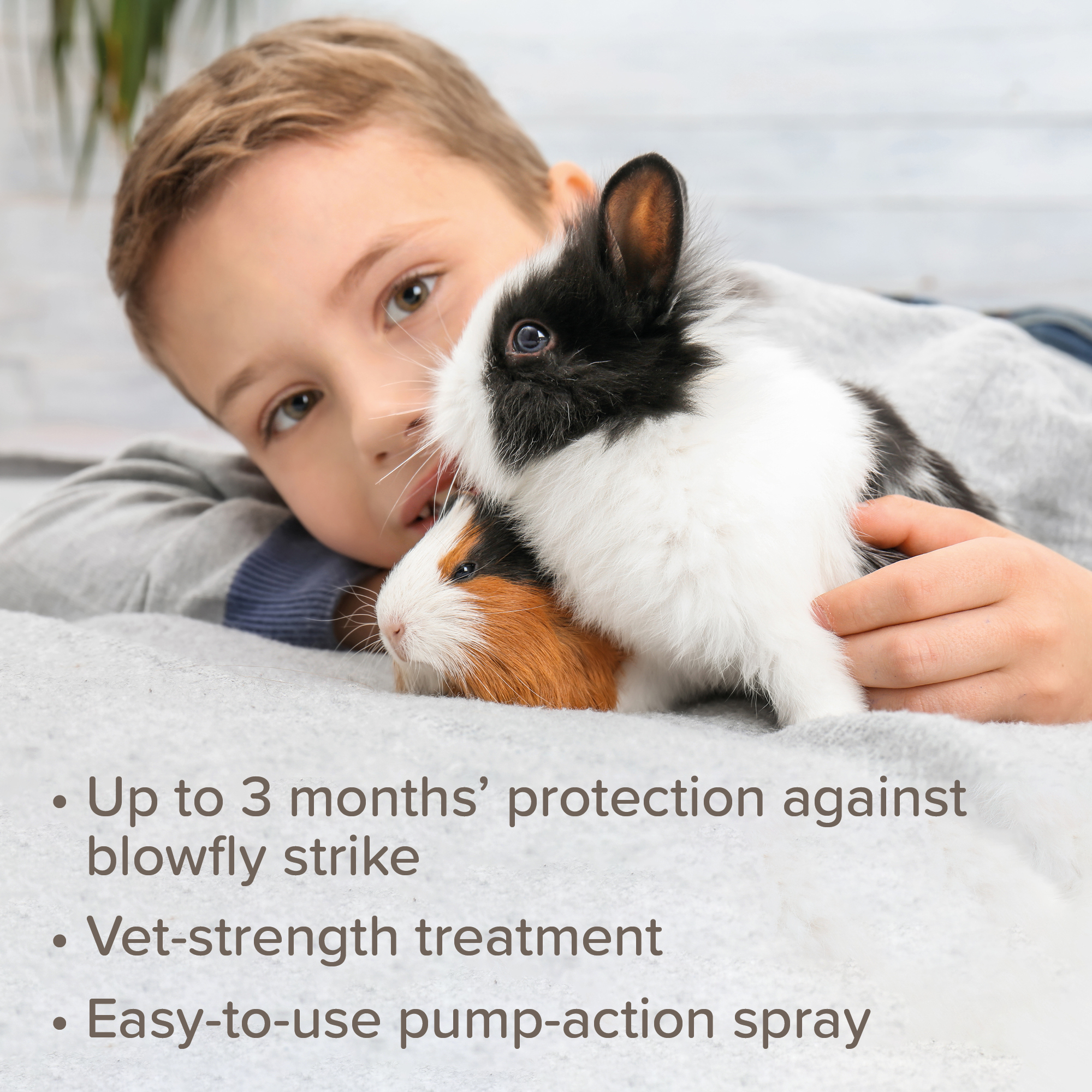 Beaphar Fly Guard Spray for Rabbits and Guinea Pigs – 75ml