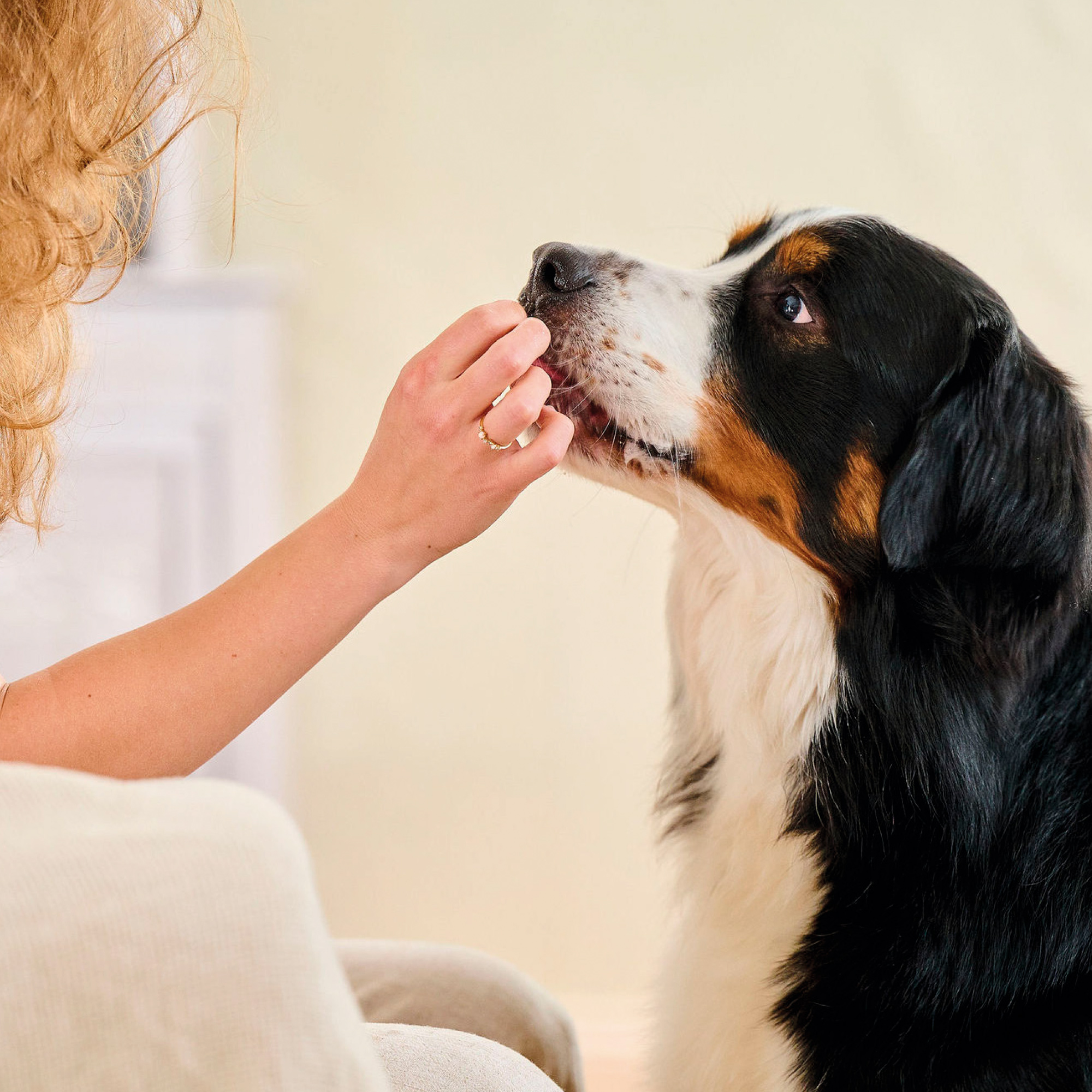Beaphar Fresh Breath Tablets for Cats & Dogs
