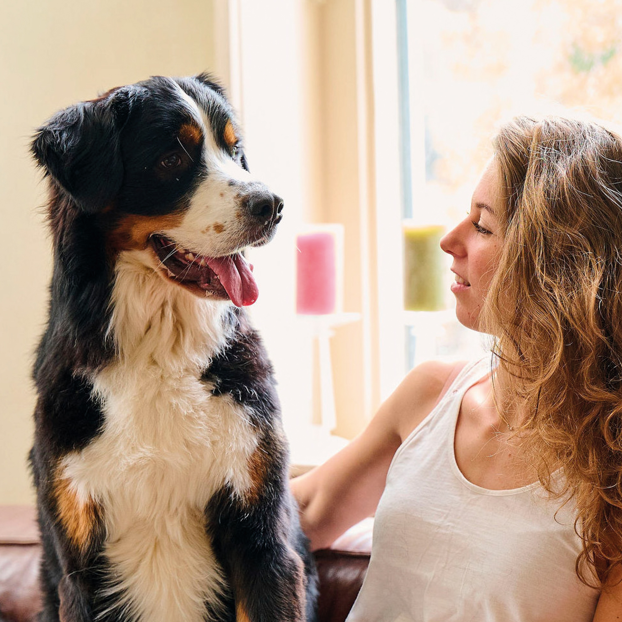 Beaphar Fresh Breath Easy Treat for Dogs