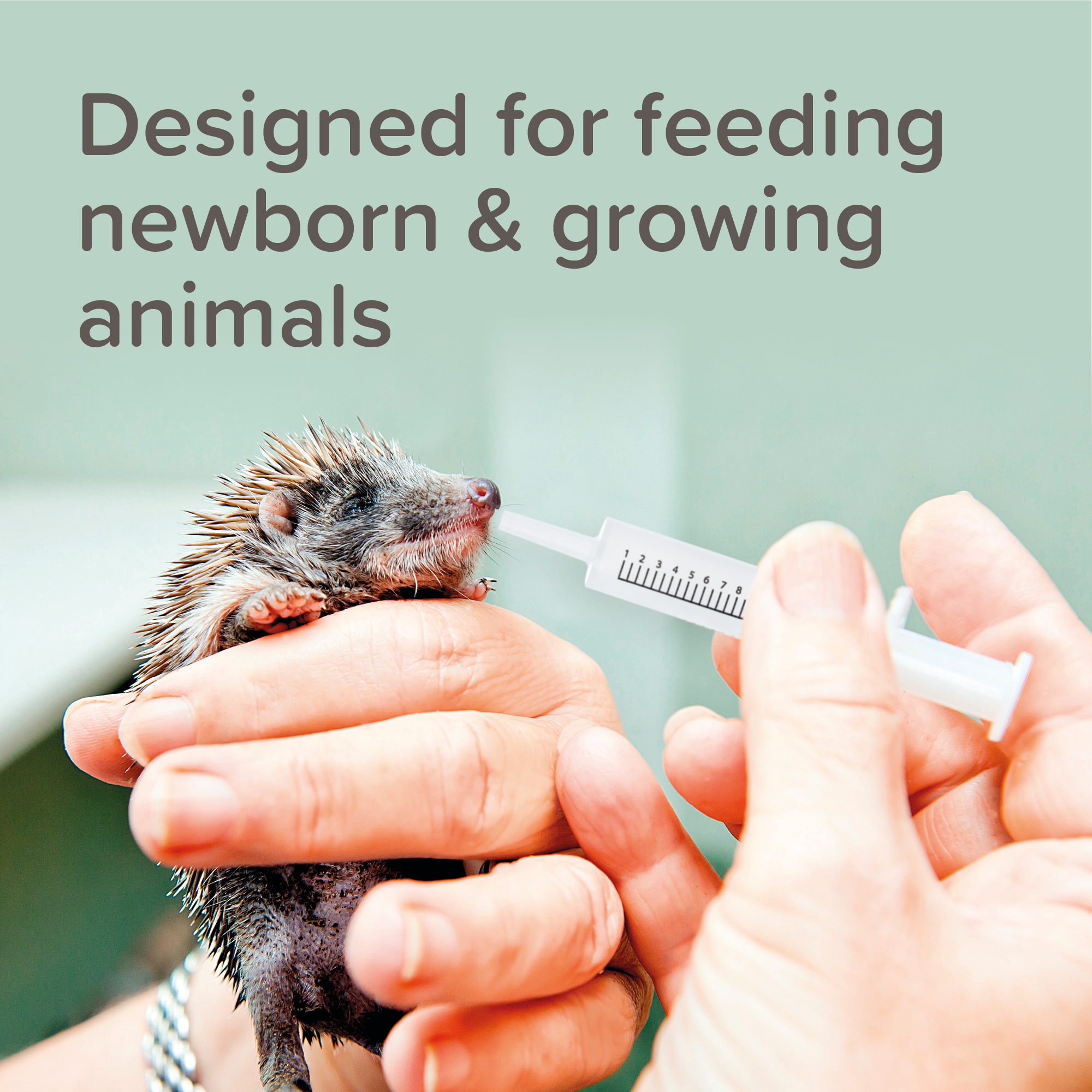 Lactol Milk Replacer Feeding Syringes for Kittens, Puppies & Small Animals, 2 syringes