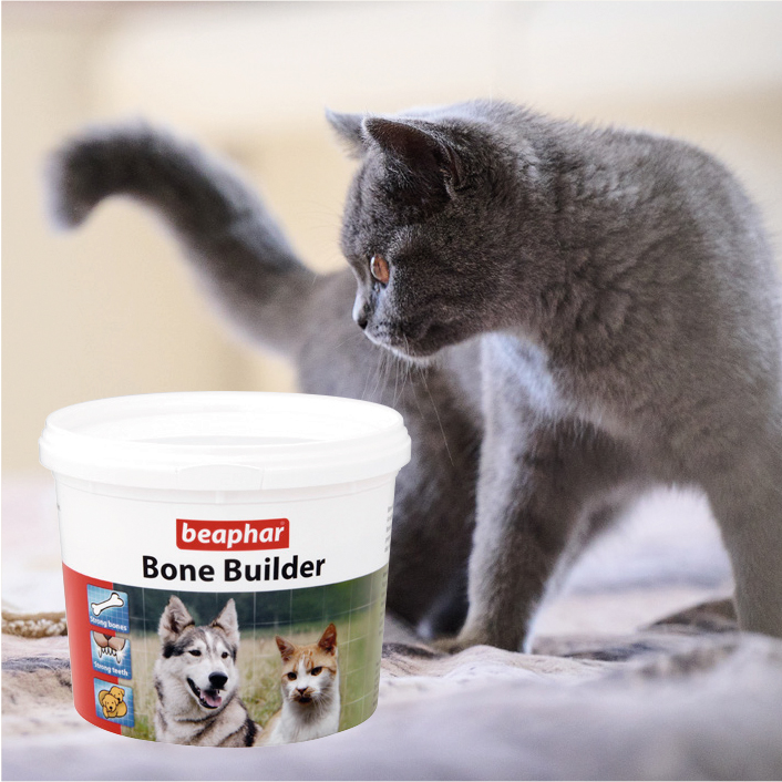 Bone Builder csonterősítő por