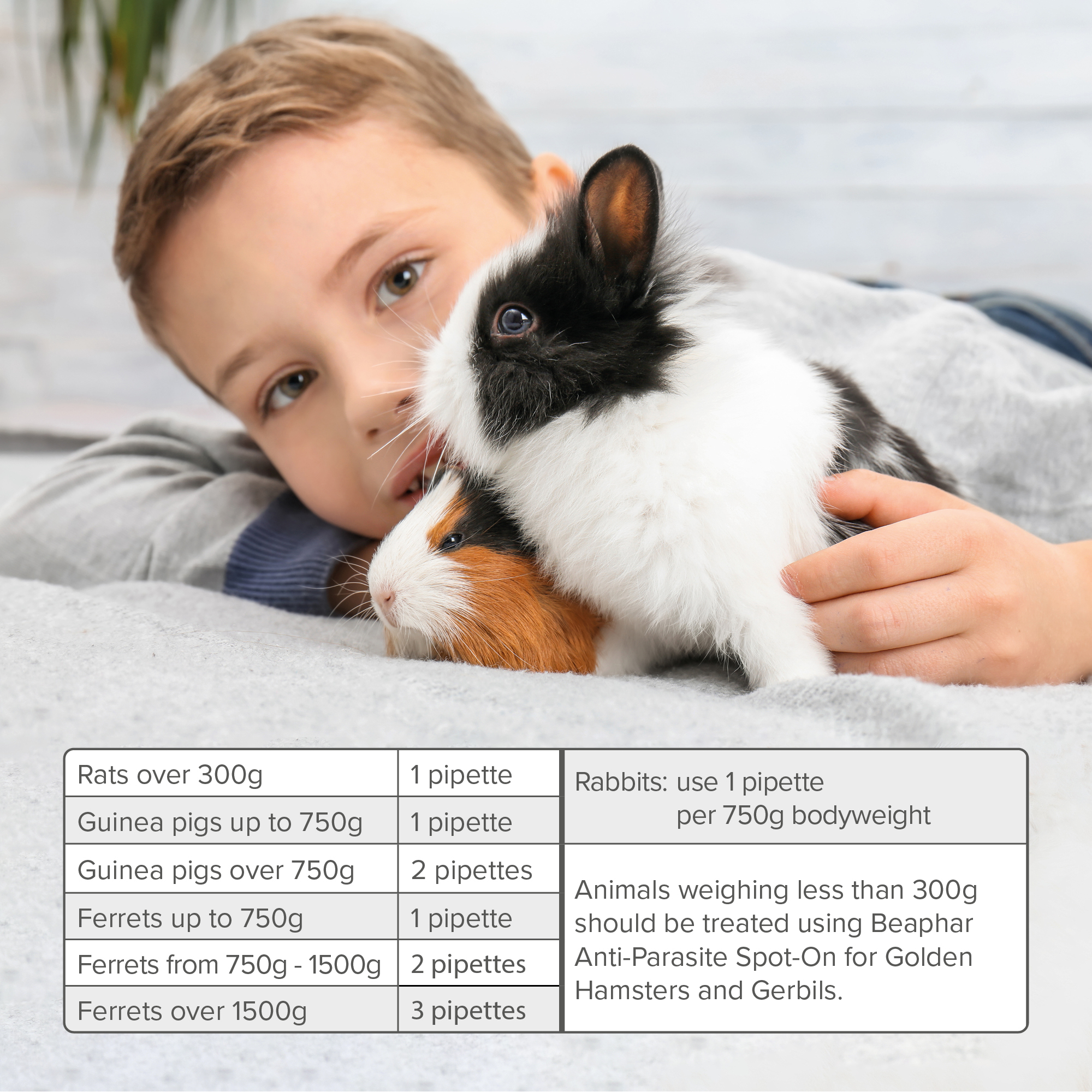 Beaphar Anti-Parasite Spot-On for Rabbits, Guinea Pigs, Ferrets & Rats, 4 pipettes