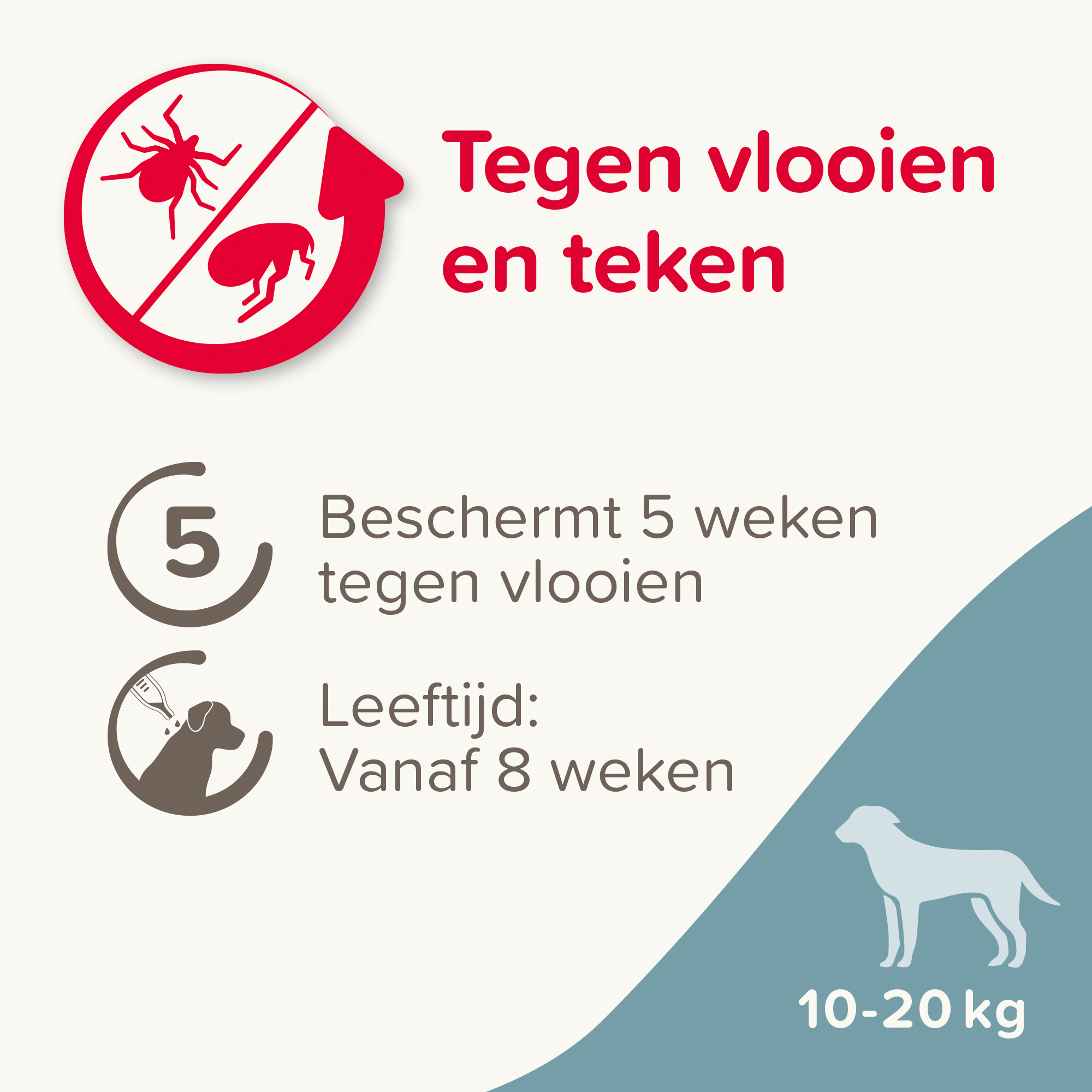 Beaphar FIPROtec® Spot-On hond 10-20kg 4 pipetten