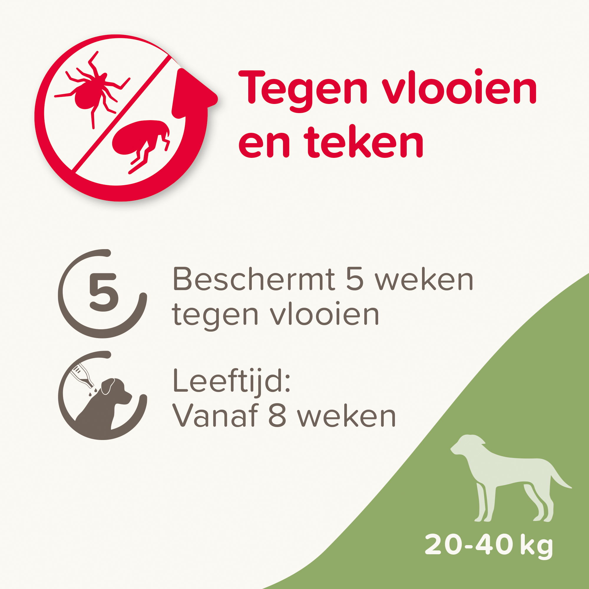 Beaphar FIPROtec® Spot-On hond 20-40kg 4 pipetten