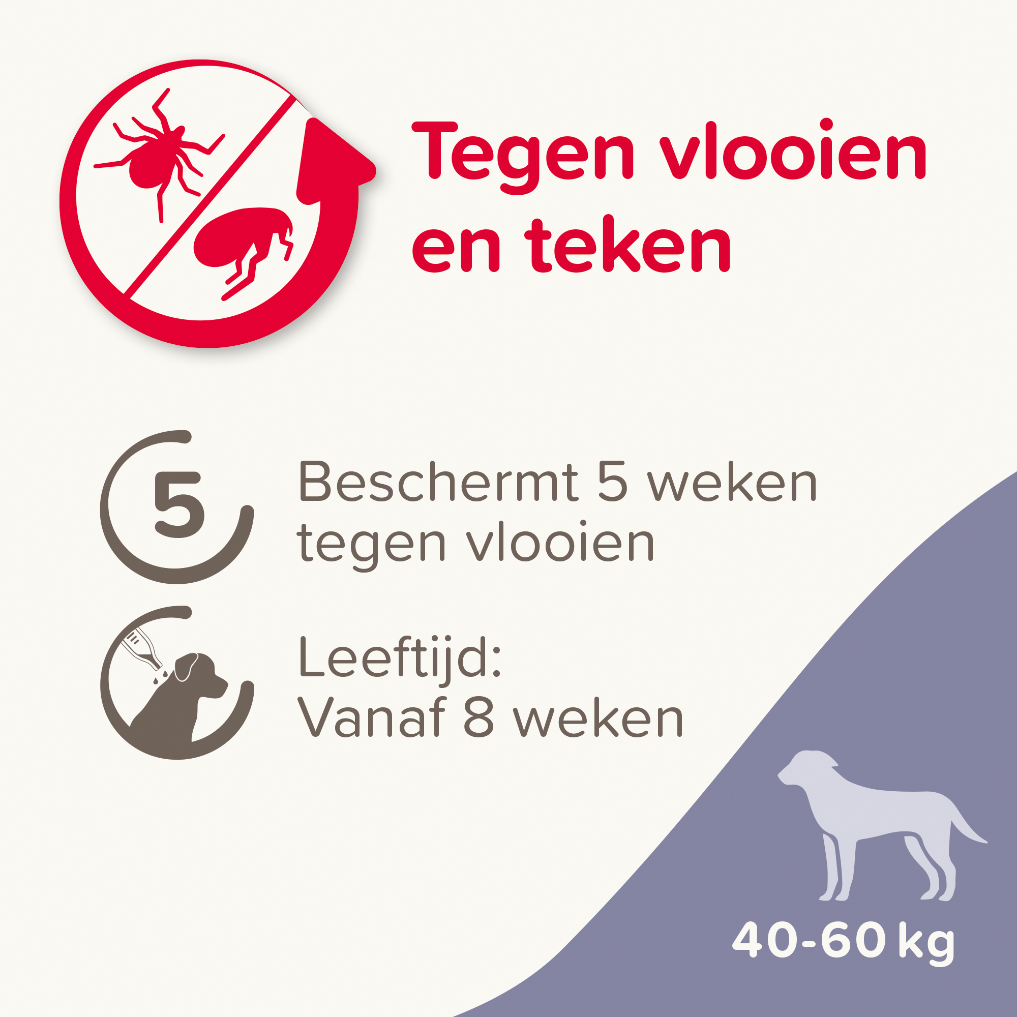 Beaphar FIPROtec® Spot-On hond 40-60kg 4 pipetten
