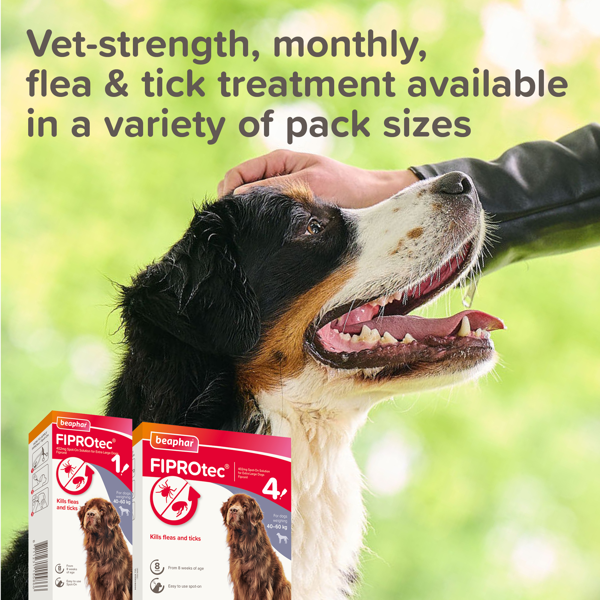 Beaphar FIPROtec® Flea & Tick Spot-On for Extra Large Dogs (40-60kg), 1 Pipette