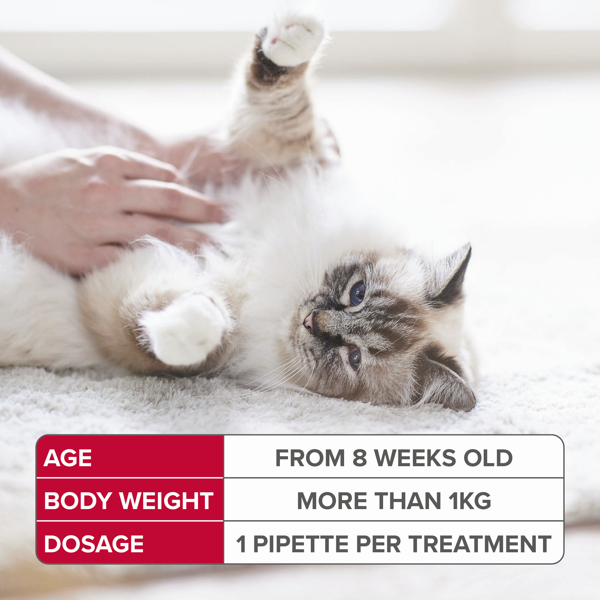 Beaphar FIPROtec® Spot-On Cat
