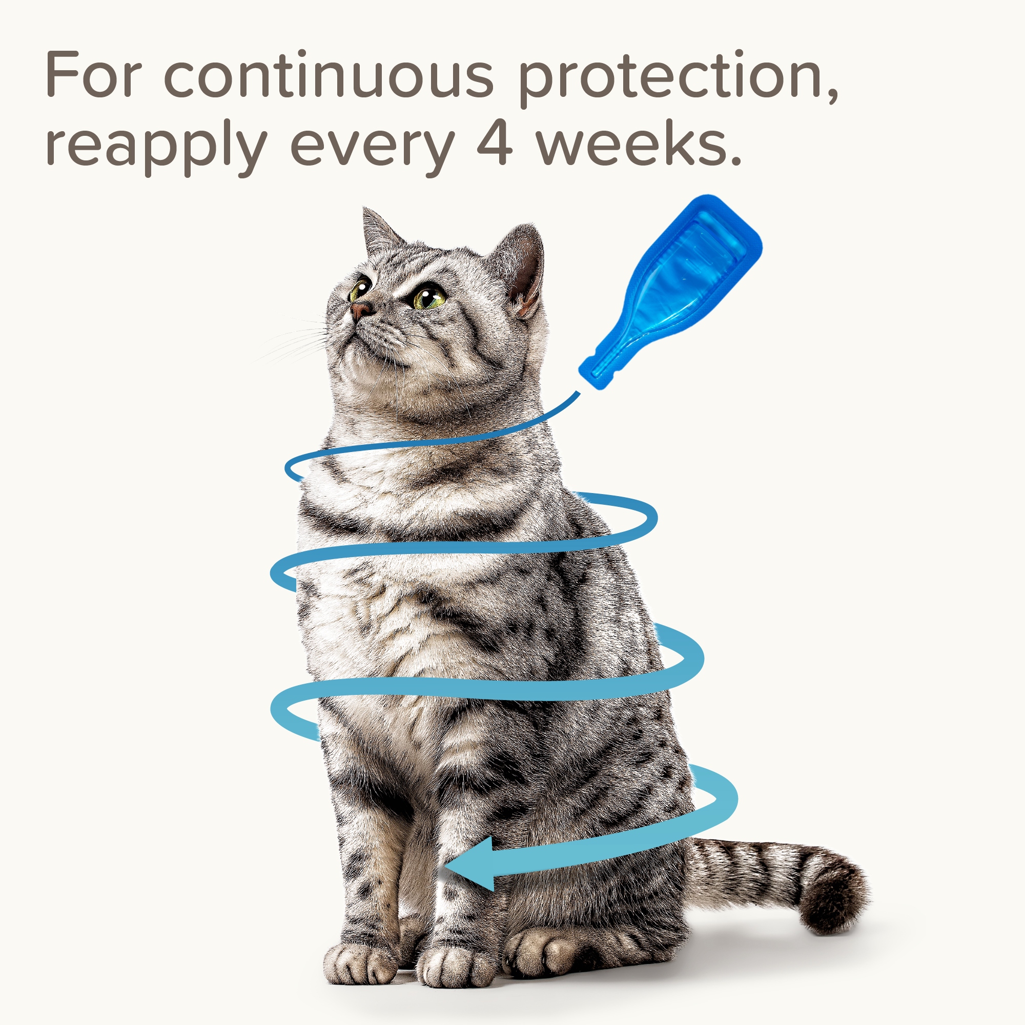 Beaphar FIPROtec® Flea & Tick Spot-On for Cats, 4 Pipettes