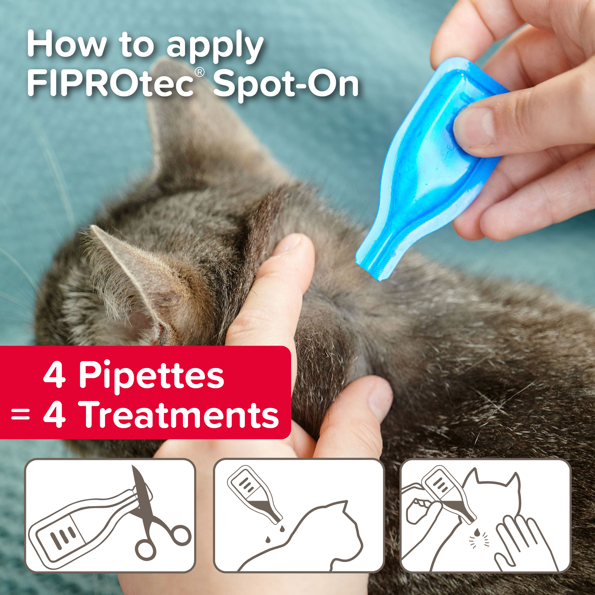 Beaphar FIPROtec® Flea & Tick Spot-On for Cats, 4 Pipettes