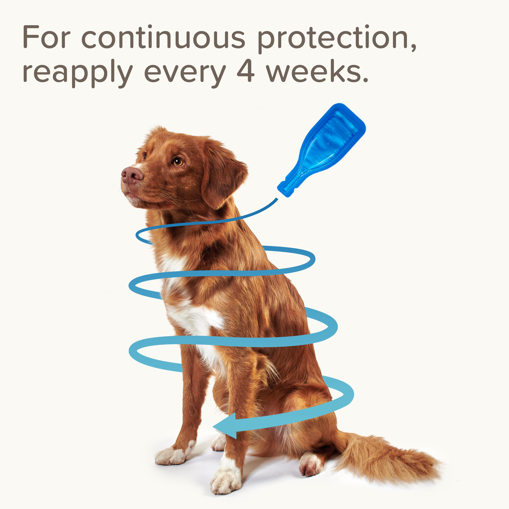 Beaphar FIPROtec® Flea & Tick Spot-On for Medium Dogs (10-20kg), 4 Pipettes