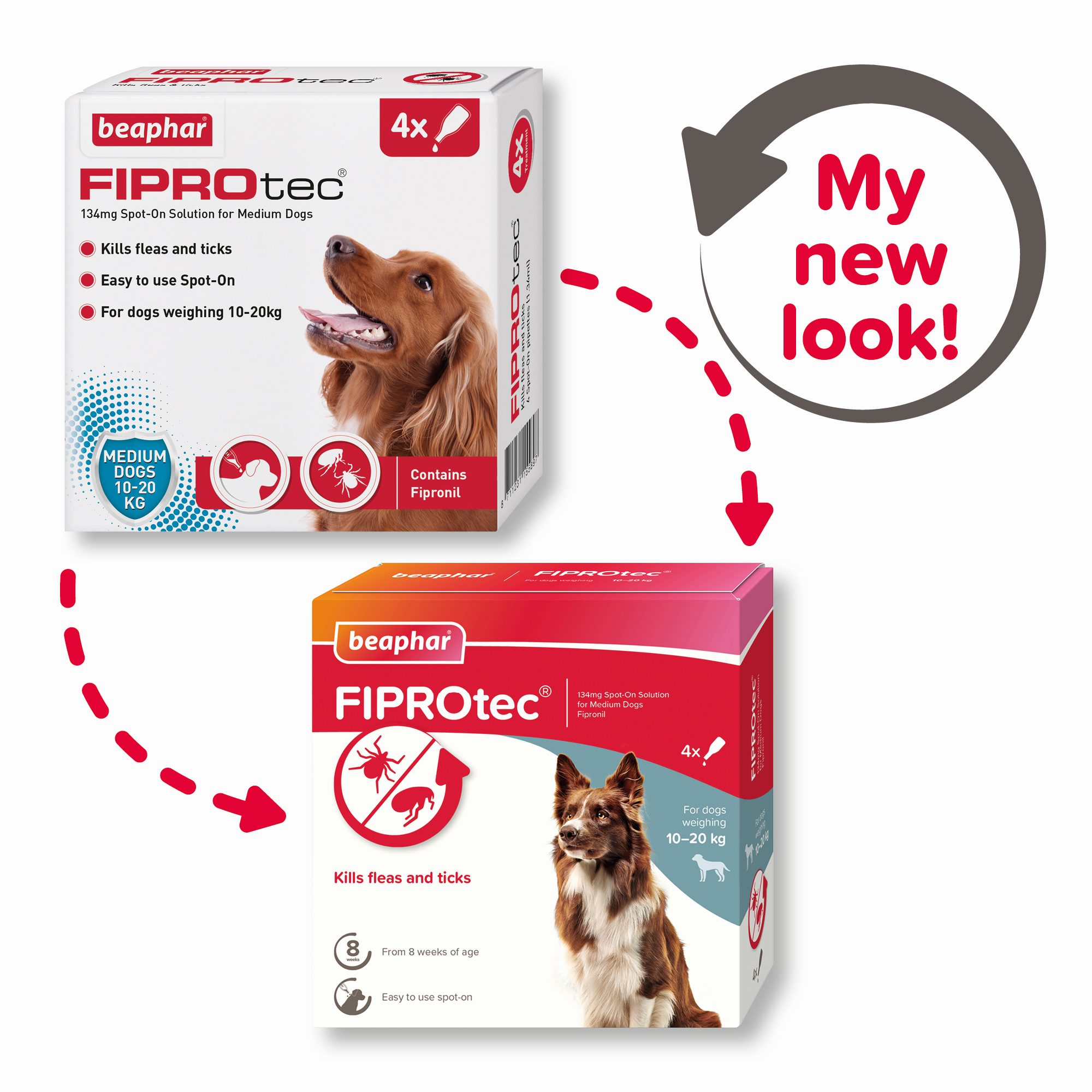 Beaphar FIPROtec® Spot-On Medium Dog