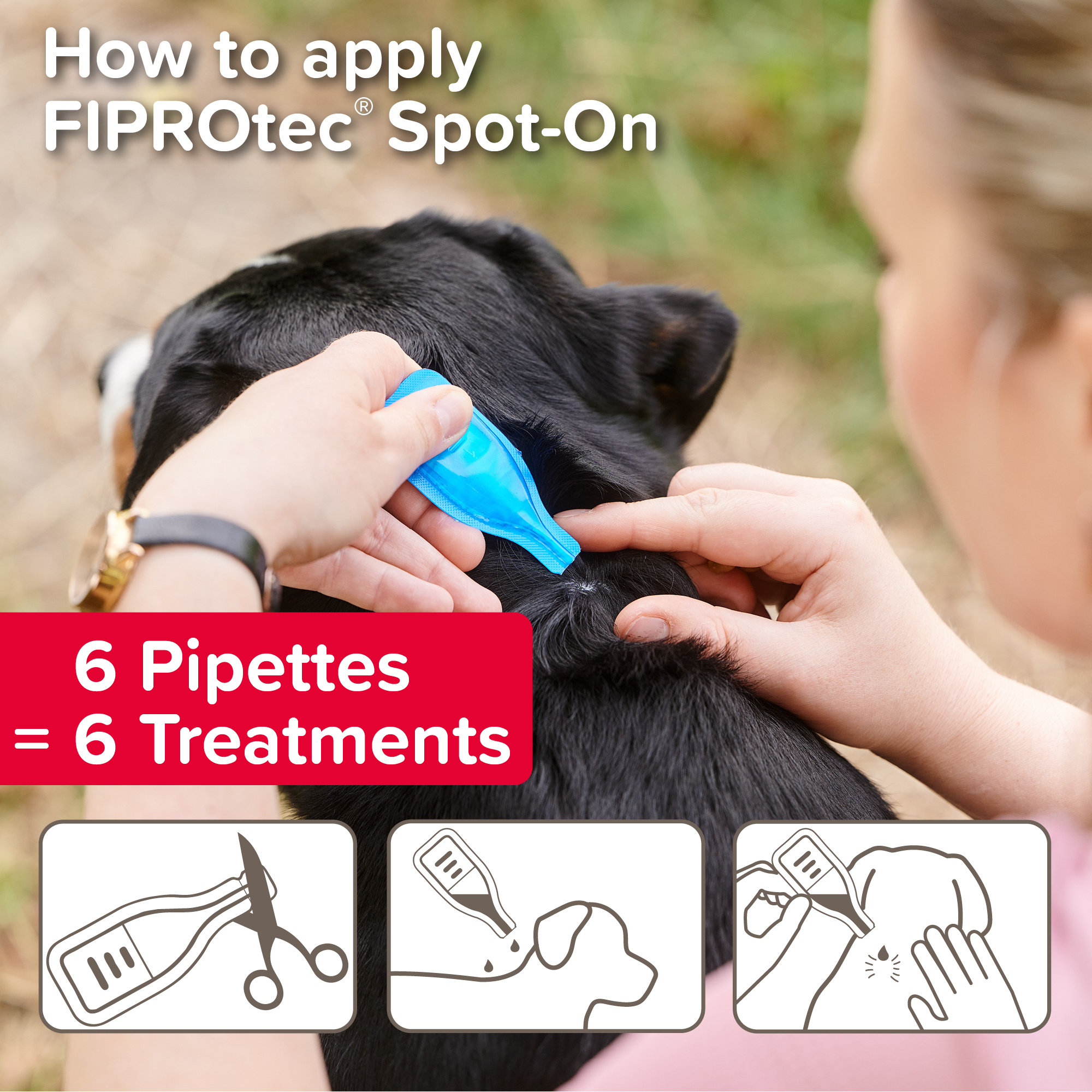 Beaphar FIPROtec® Flea & Tick Spot-On for Small Dogs (2-10kg), 6 Pipettes