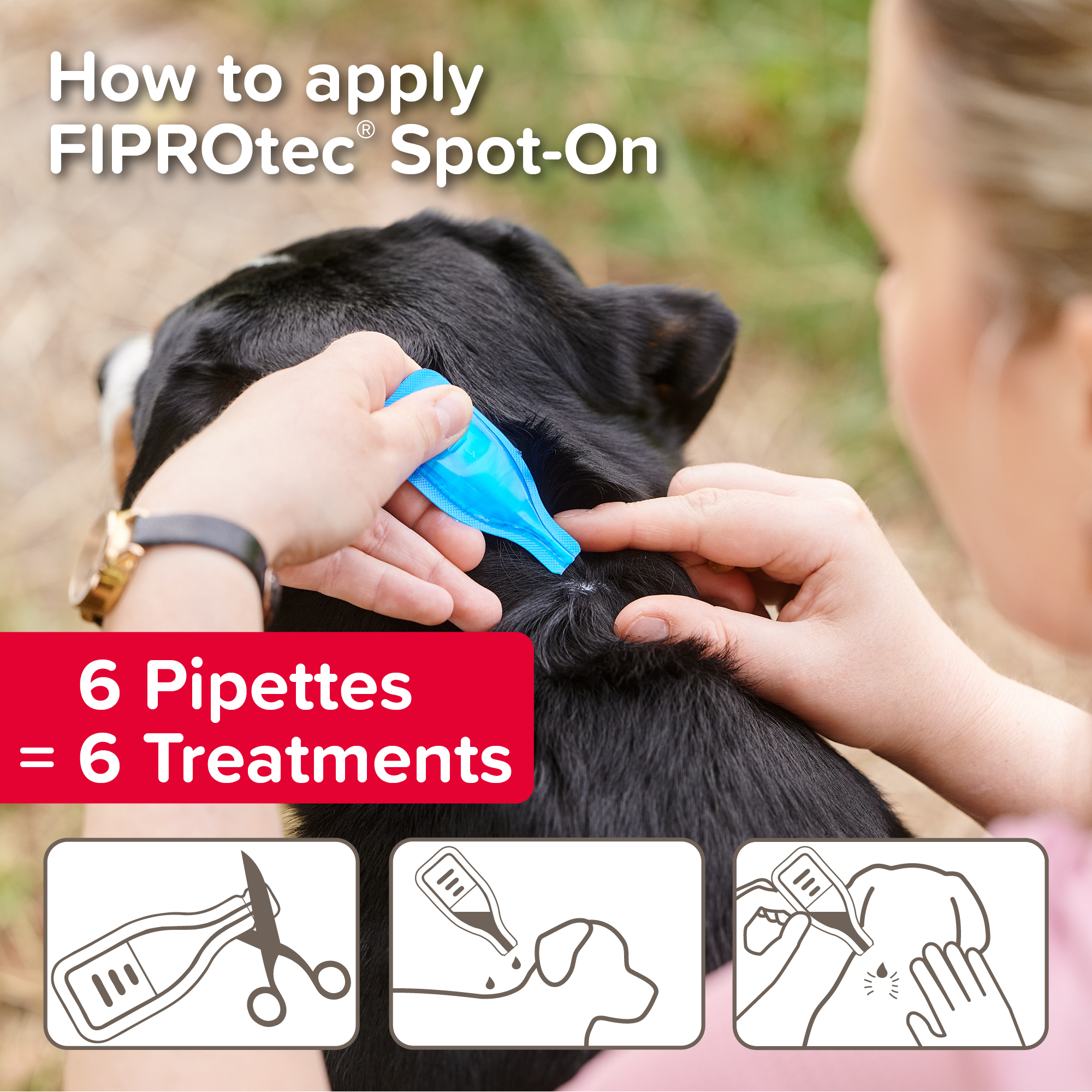 Beaphar FIPROtec® Flea & Tick Spot-On for Medium Dogs (10-20kg), 6 Pipettes