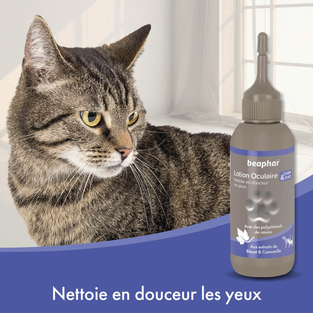 Lotion oculaire