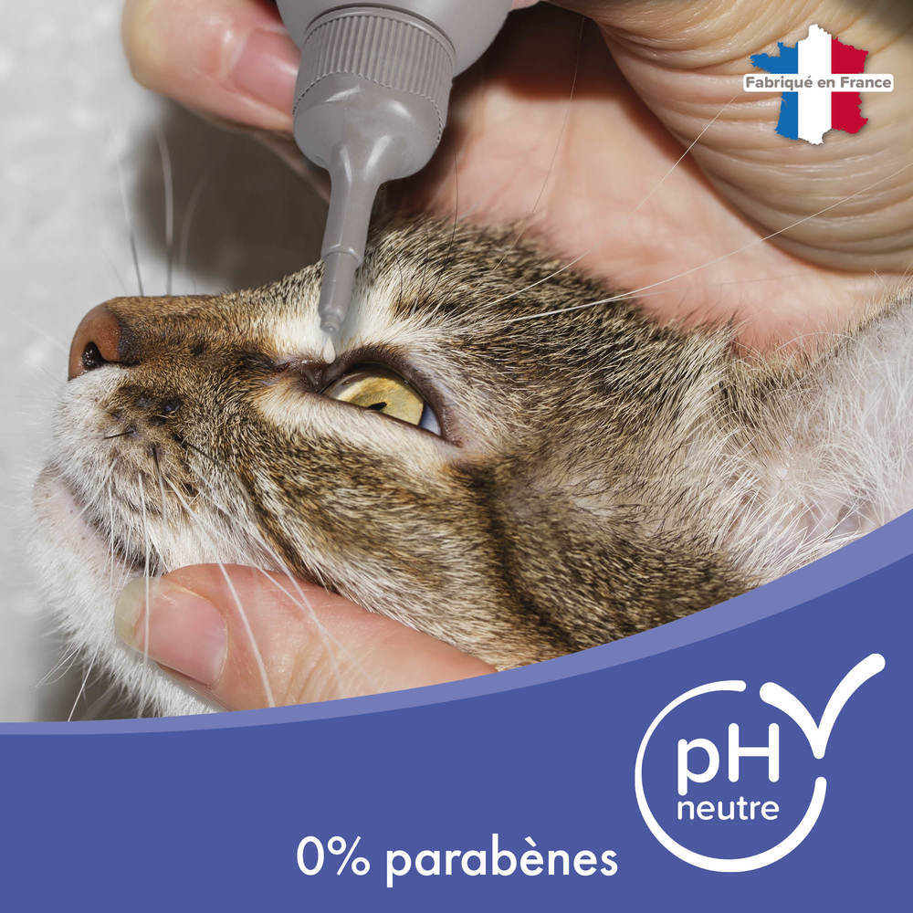 Lotion oculaire