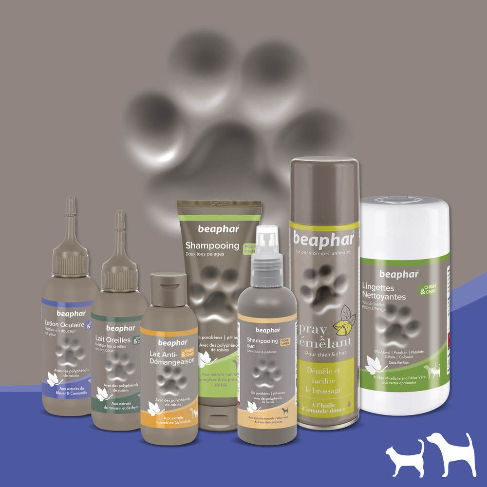 Lotion oculaire