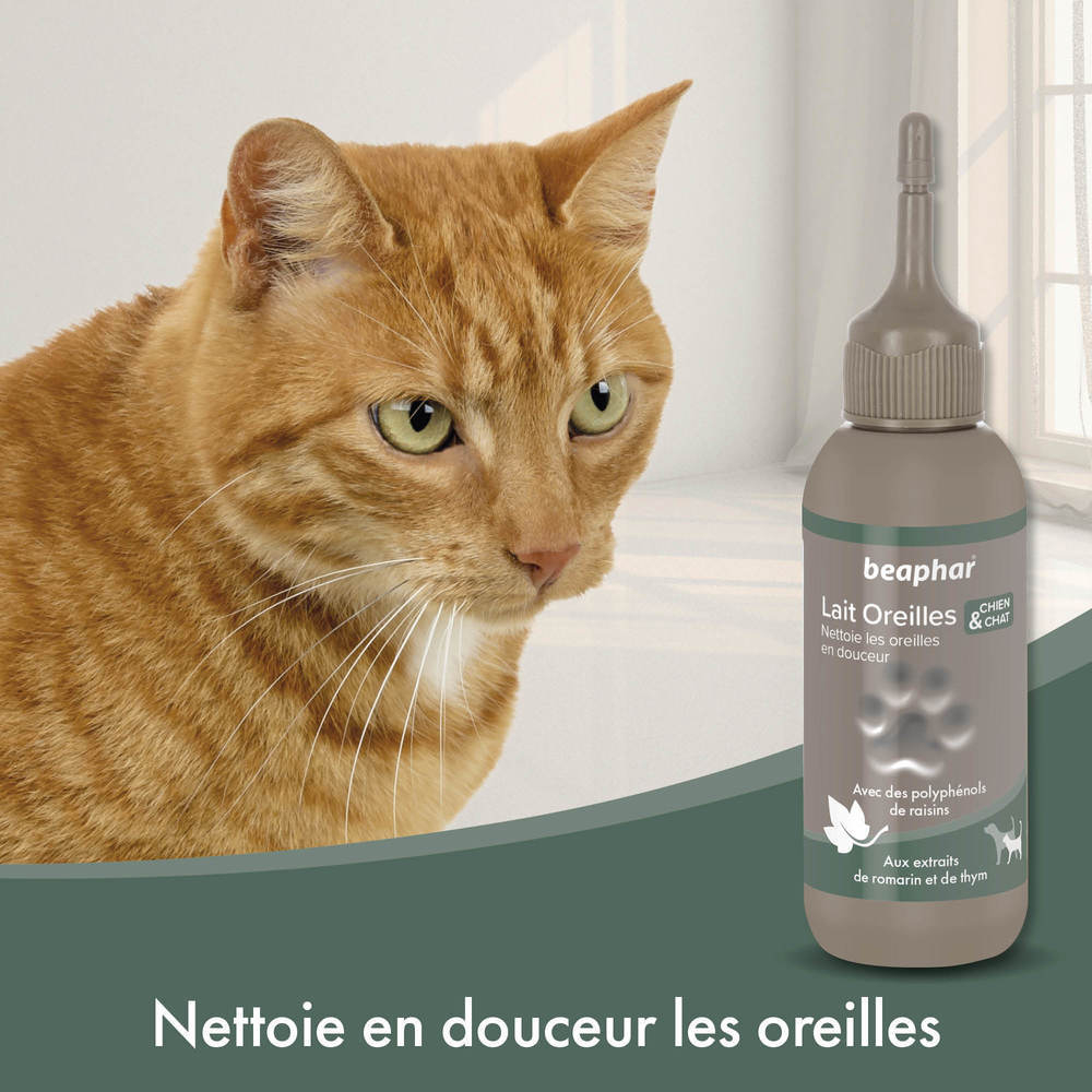 Lait pour les oreilles