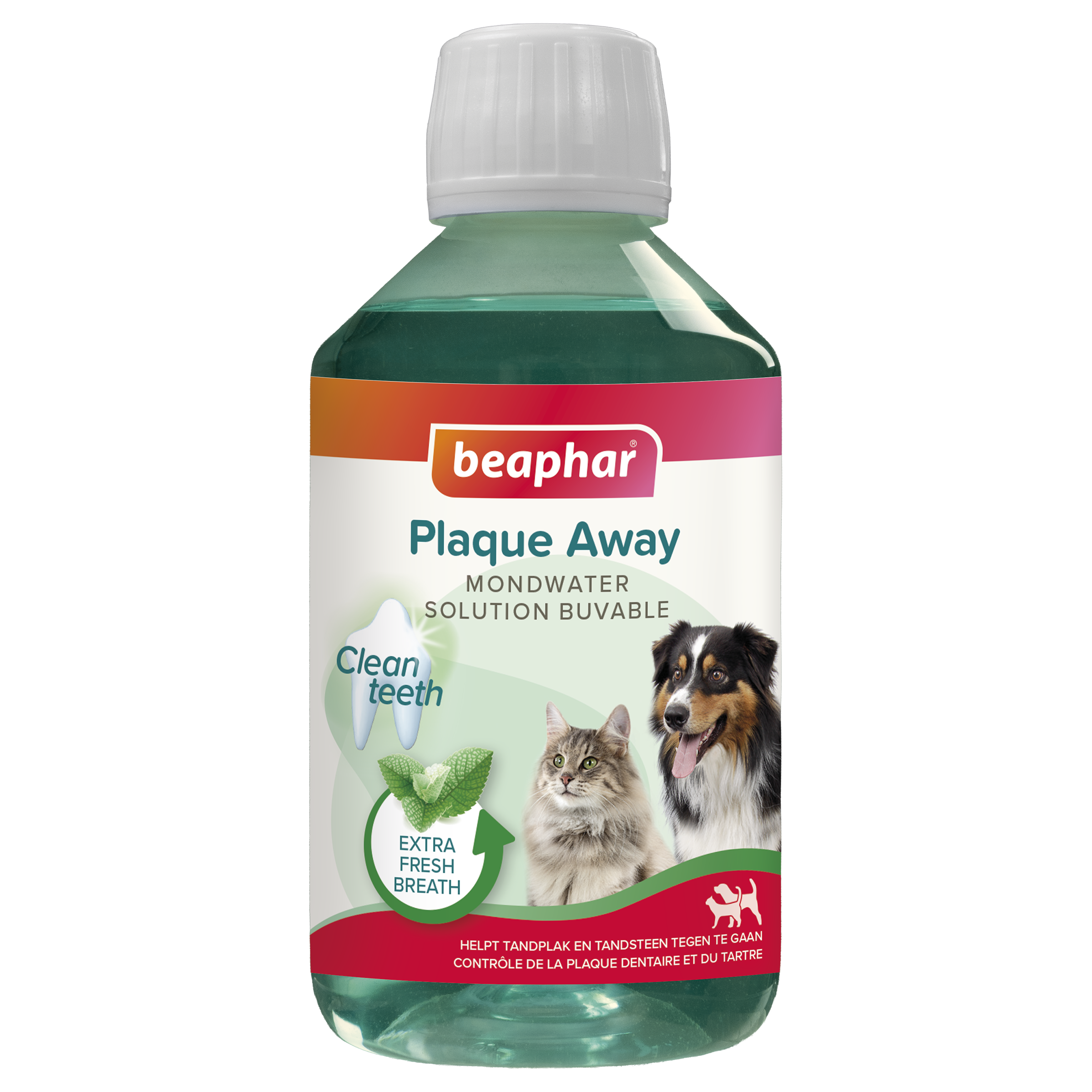 Mondwater 250ml