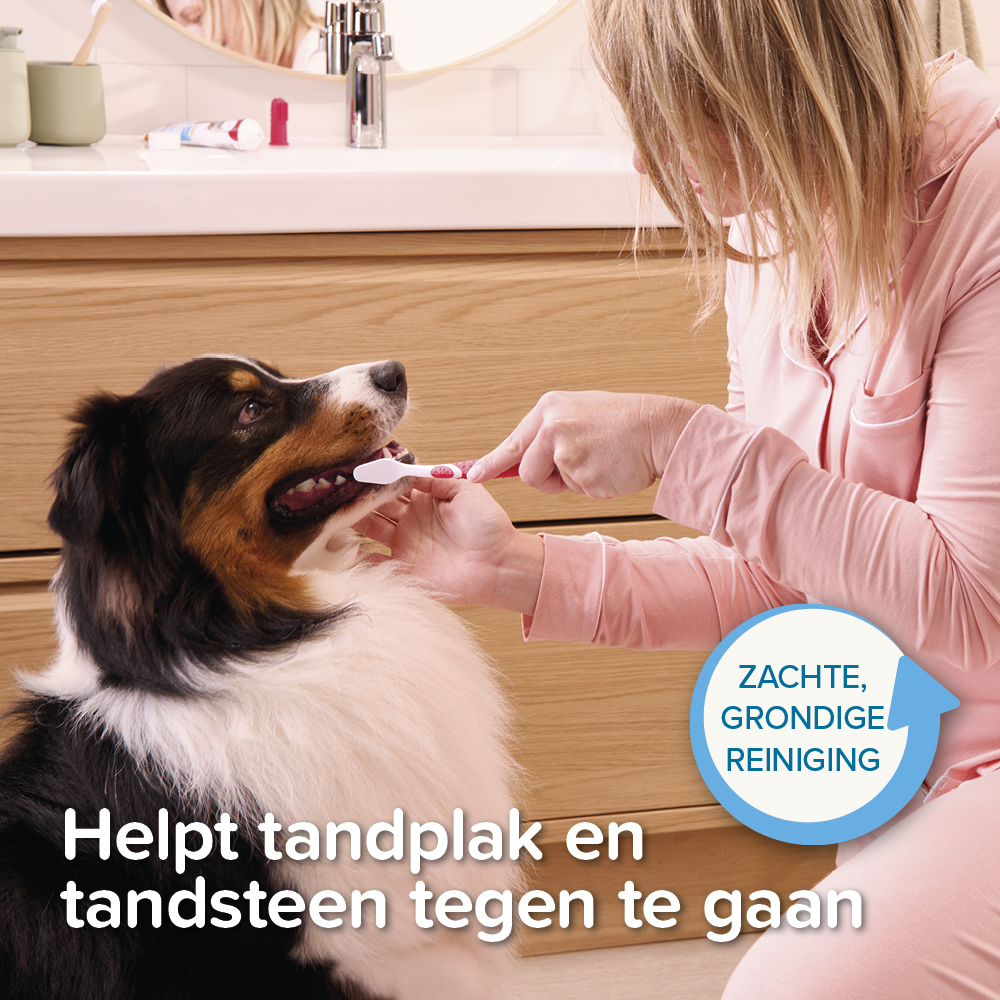 Beaphar Tandpasta 100g