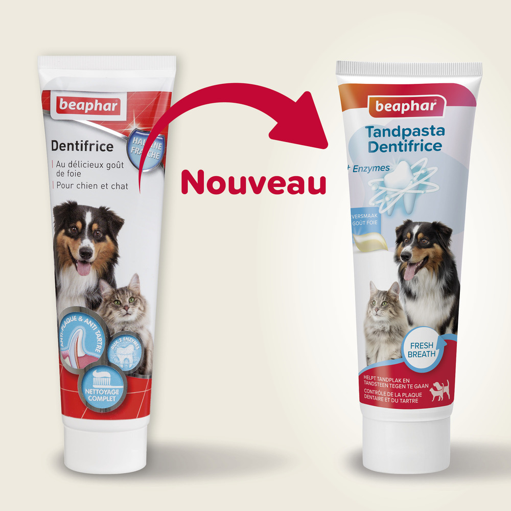 Dentifrice pour chien et chat - 100 g
