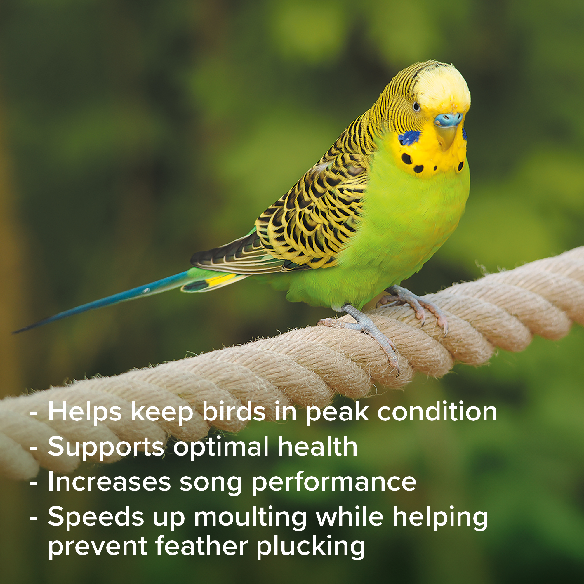Beaphar Multi-Vitamin Liquid for Birds