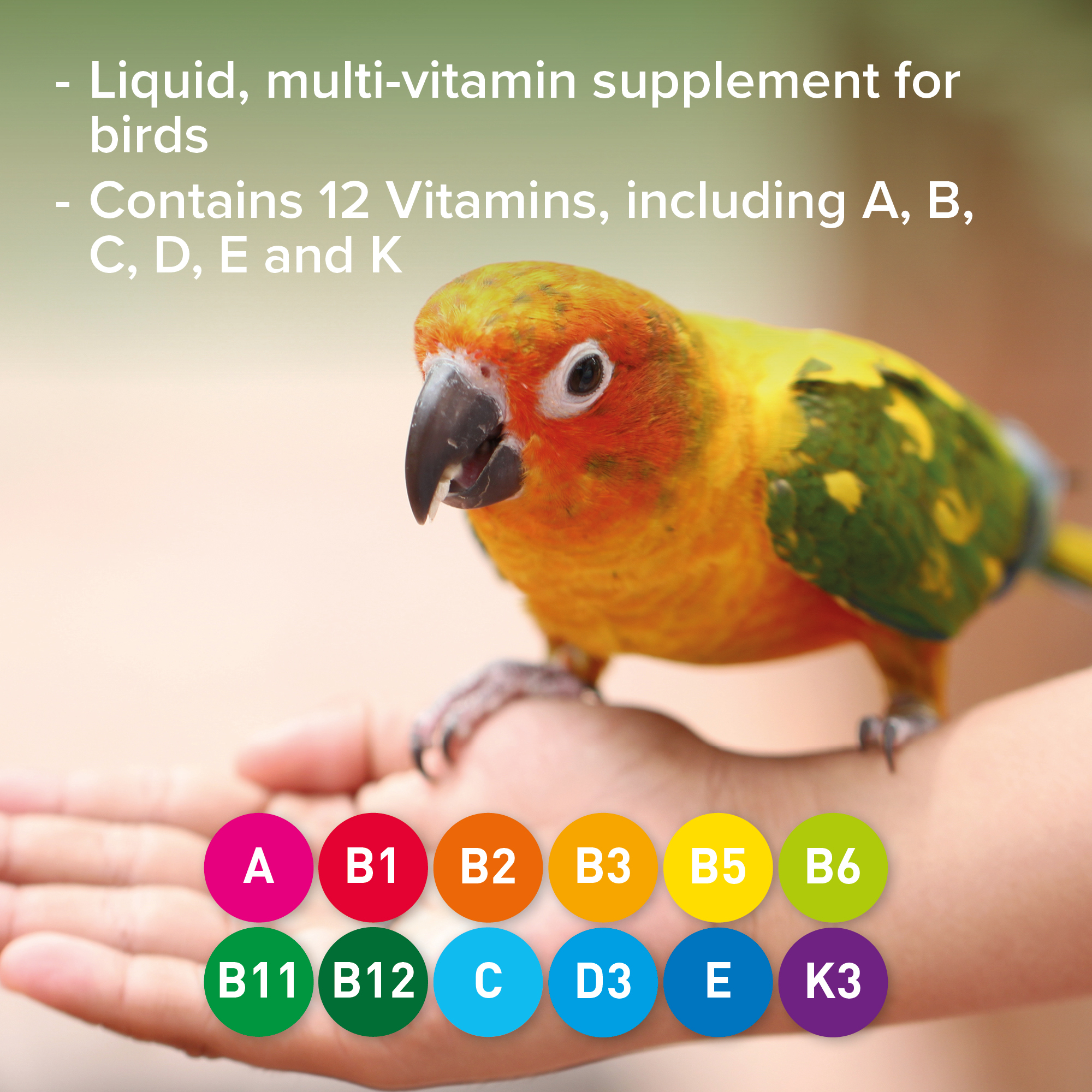 Beaphar Multi-Vitamin Liquid for Birds