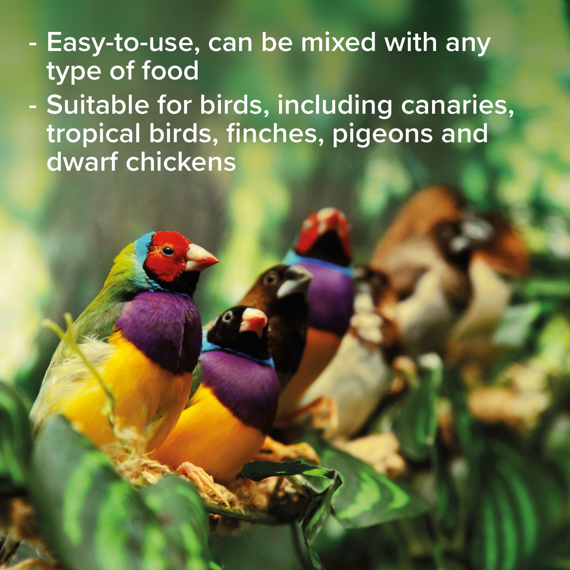 Beaphar Multi-Vitamin Liquid for Birds