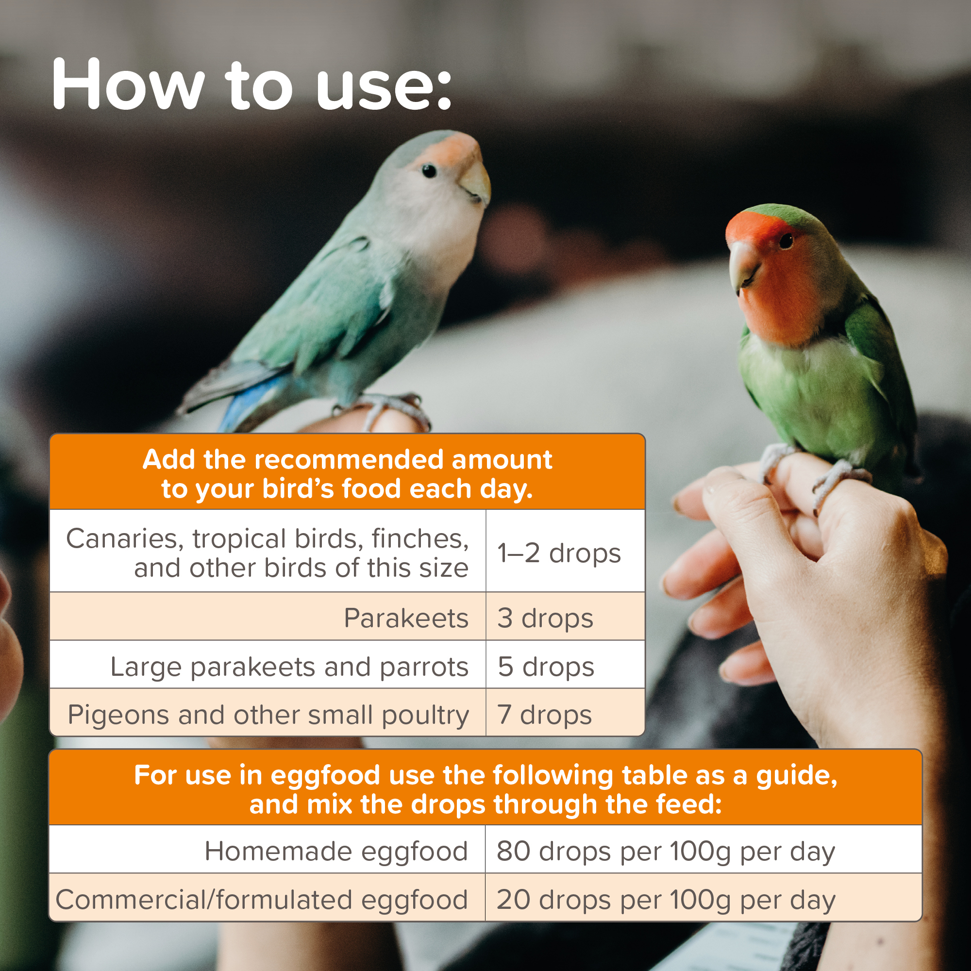Beaphar Multi-Vitamin Liquid for Birds