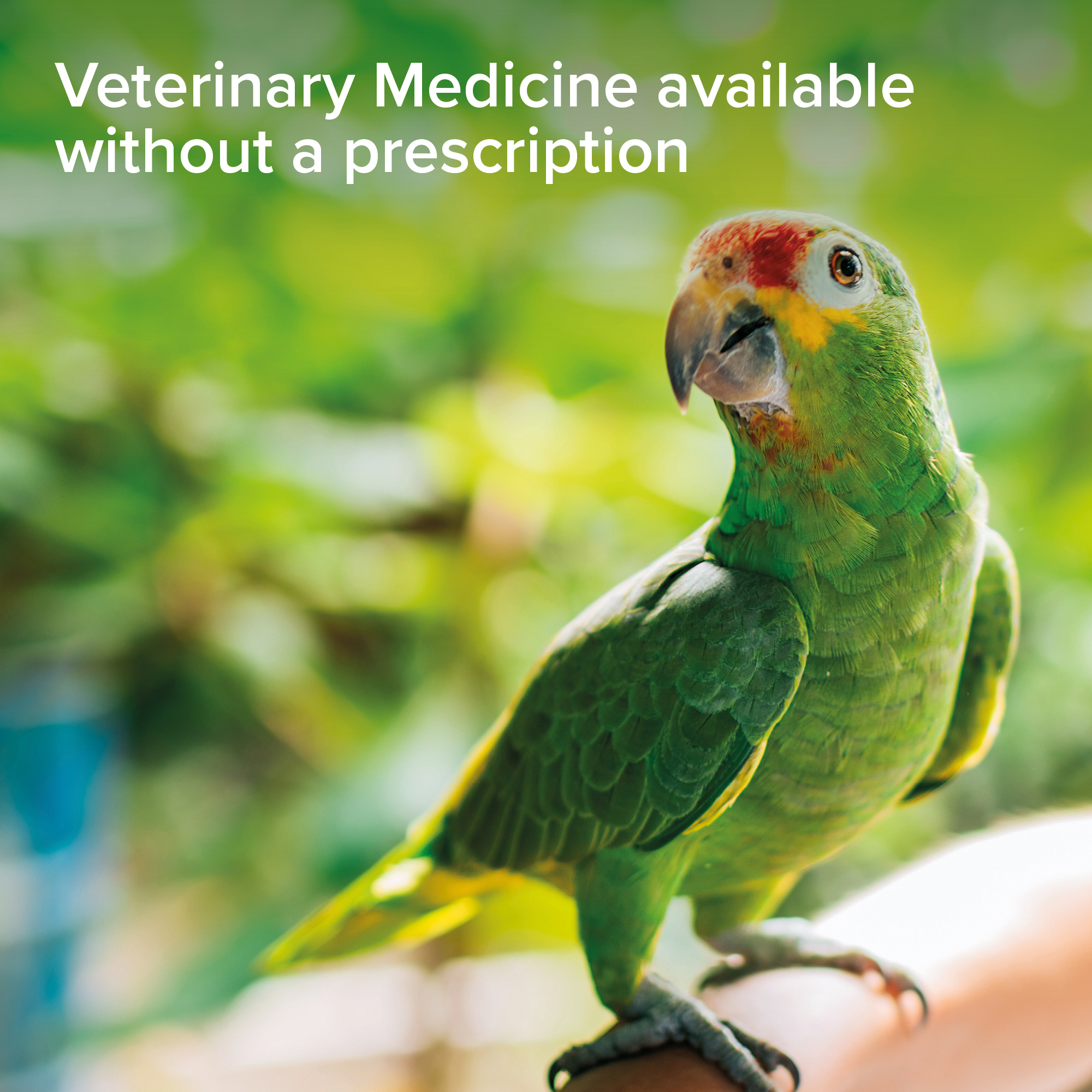 Beaphar Insecticidal Spray for Birds, 150ml
