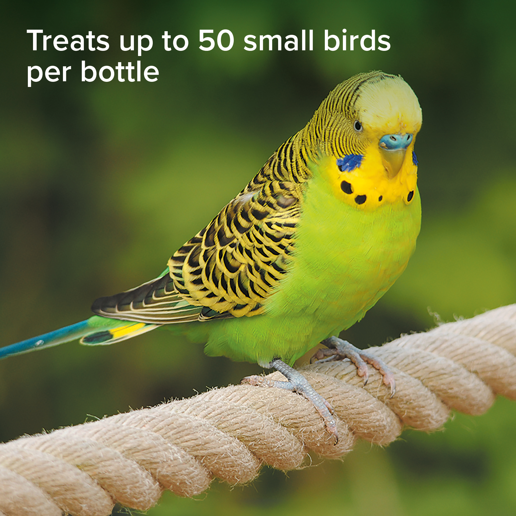 Beaphar Insecticidal Spray for Birds, 150ml