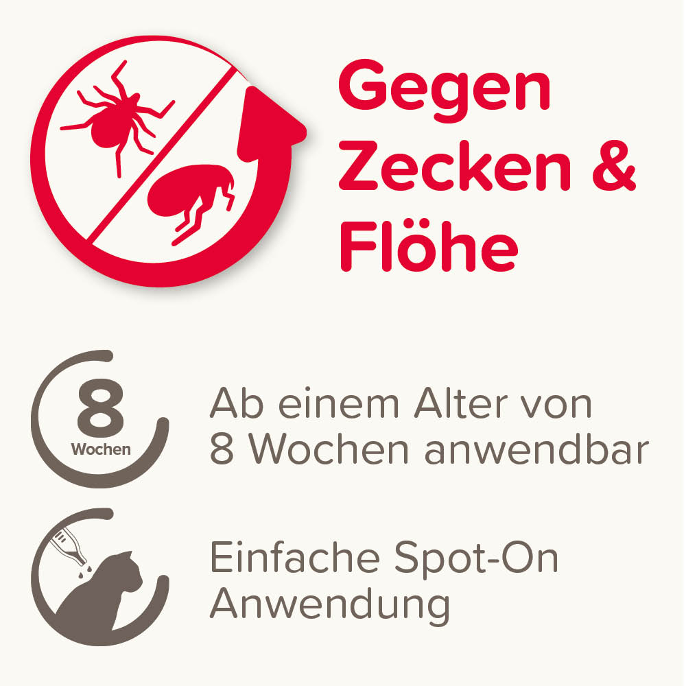 Fiprotec 50 mg Spot-On Lösung für Katzen