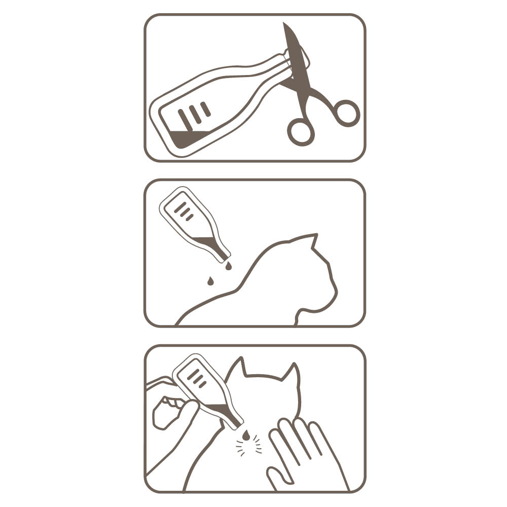 Fiprotec 50 mg Spot-On Lösung für Katzen