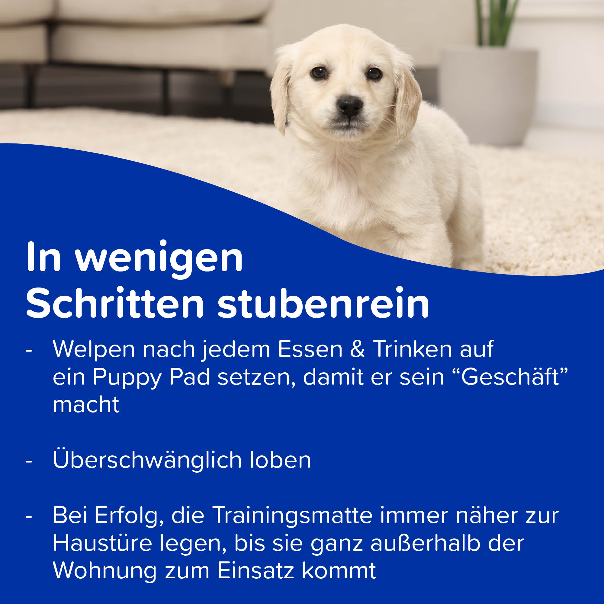 Beaphar Puppy Pads (60x60cm), 14 St.