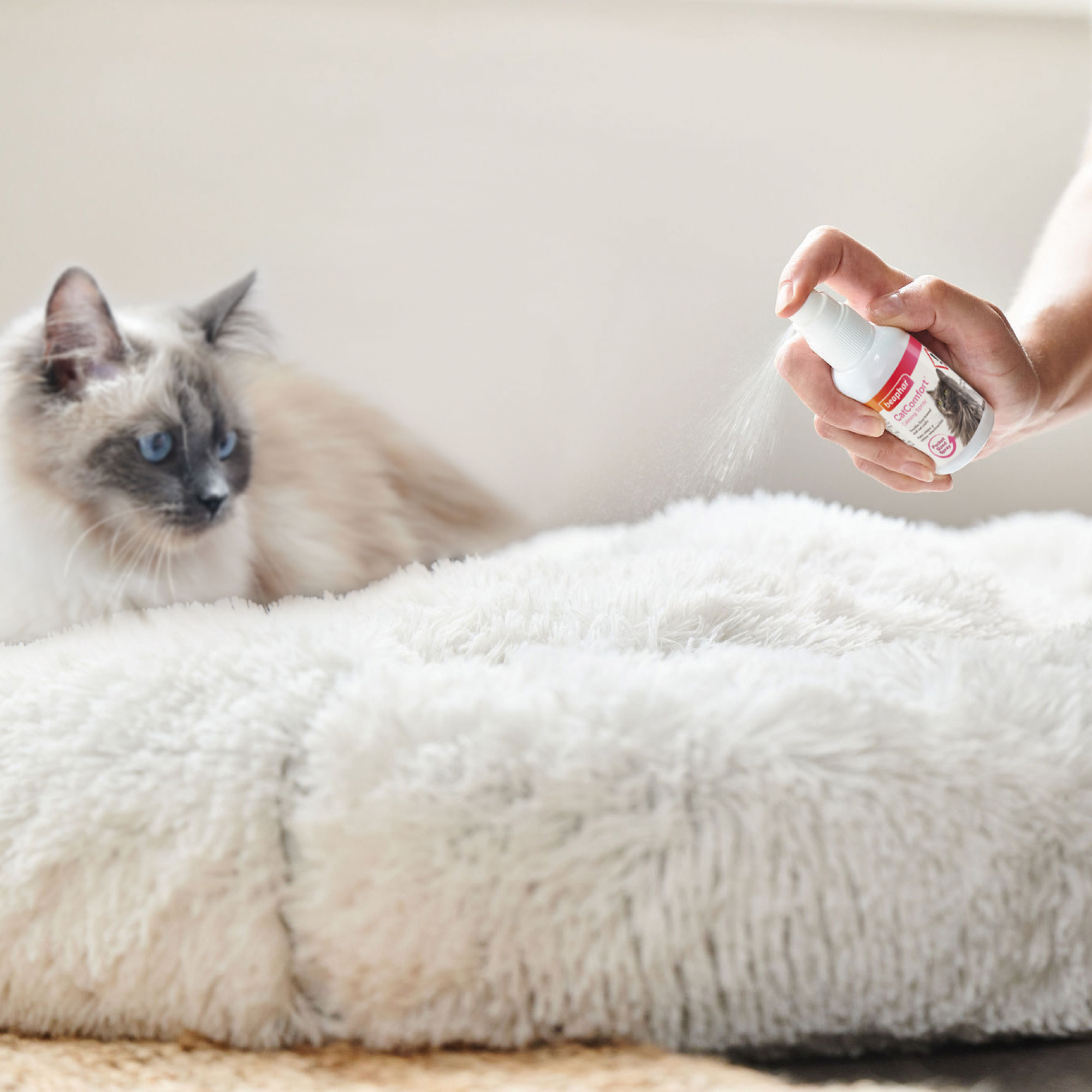 Beaphar CatComfort® Kalmerende spray 60ml