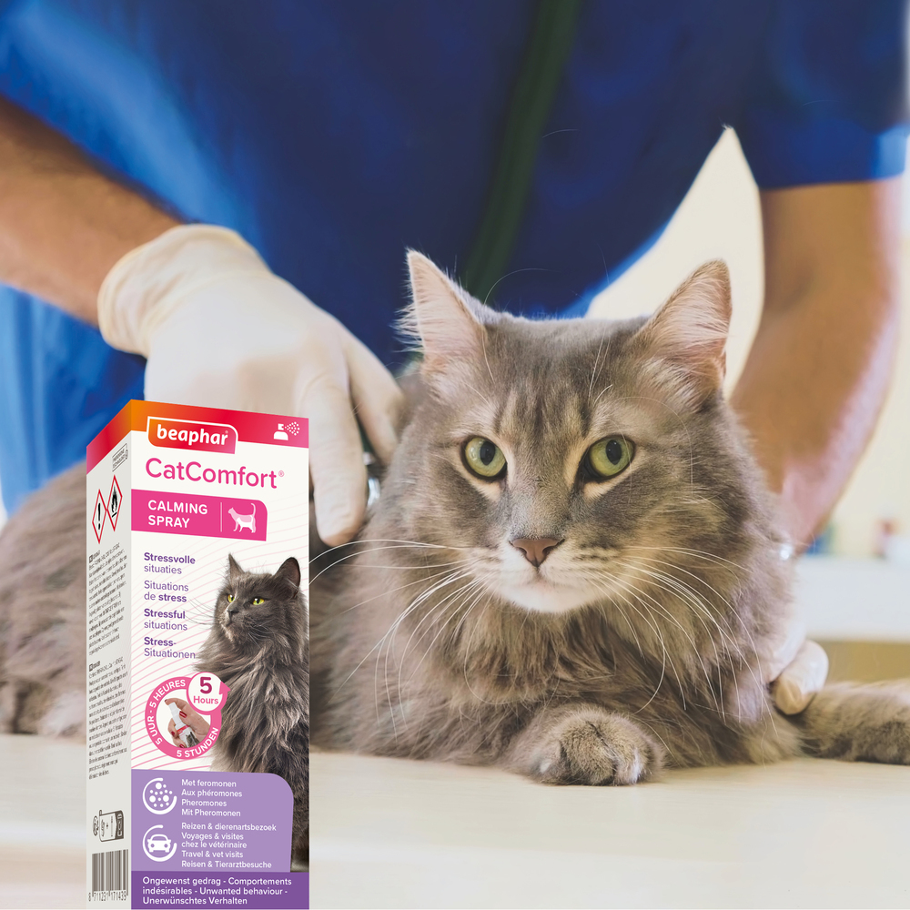 CatComfort®, spray calmant pour chat - 60 ml