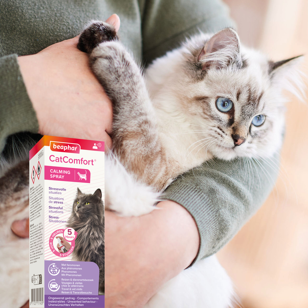 CatComfort®, spray calmant pour chat - 60 ml
