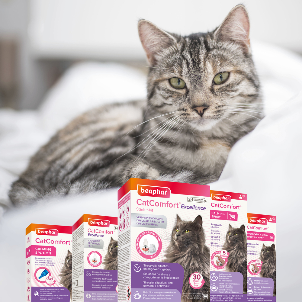 CatComfort®, spray calmant pour chat - 60 ml