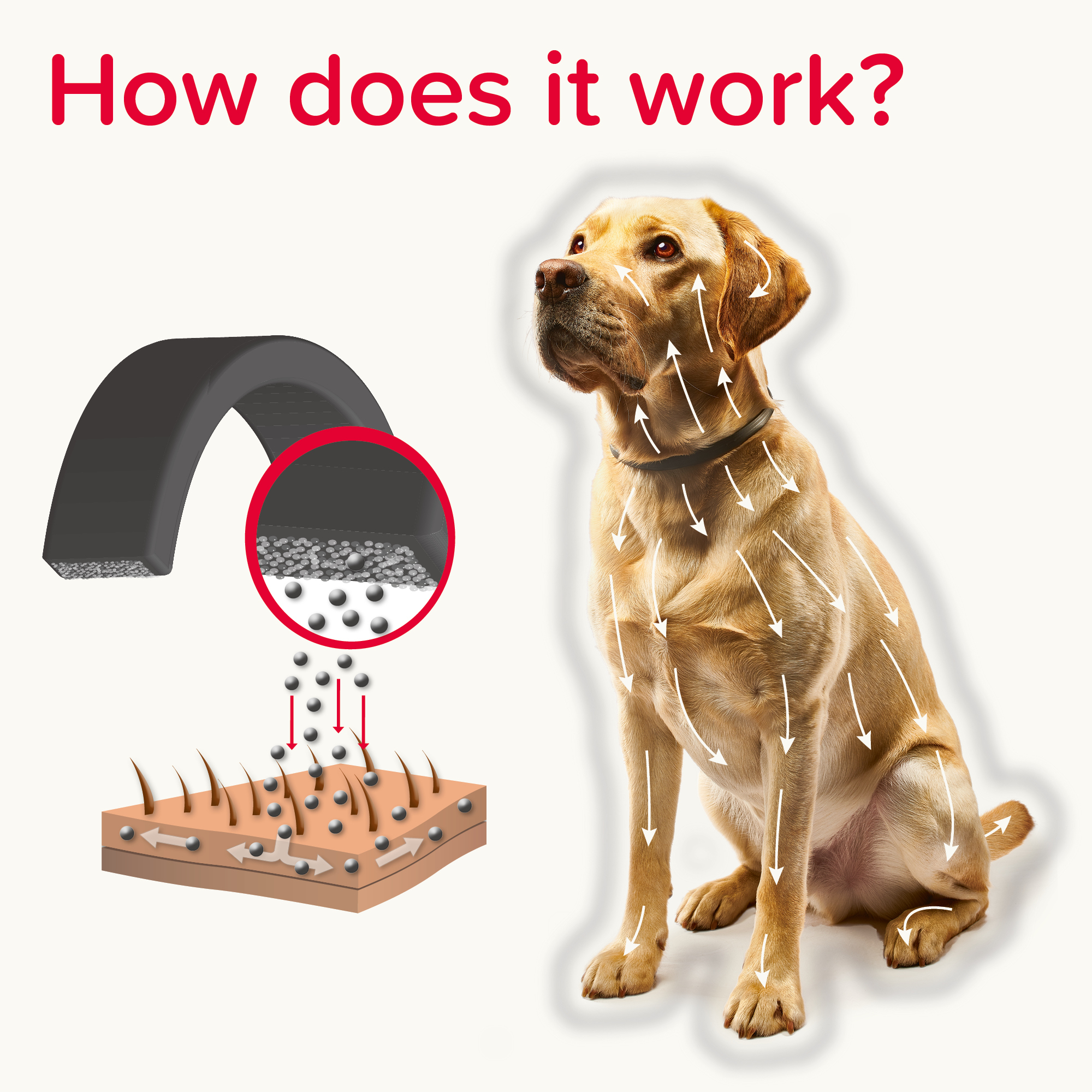 Beaphar Canishield® Flea & Tick Collar for Small & Medium Dogs – up to 48cm