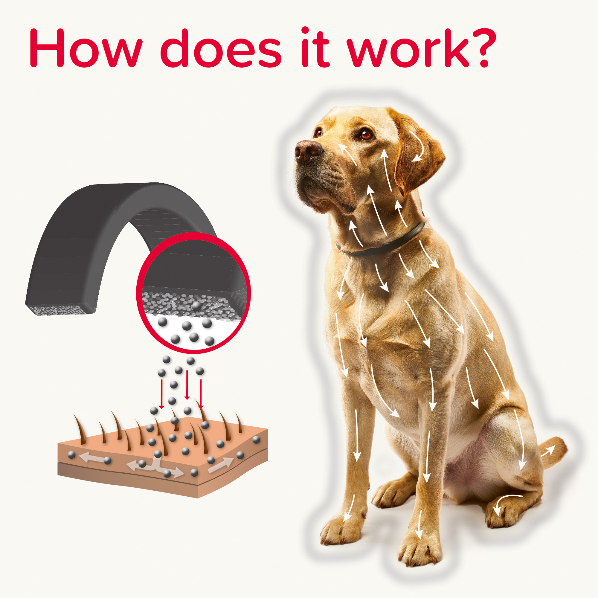 Beaphar Canishield® Collar Small & Medium Dog