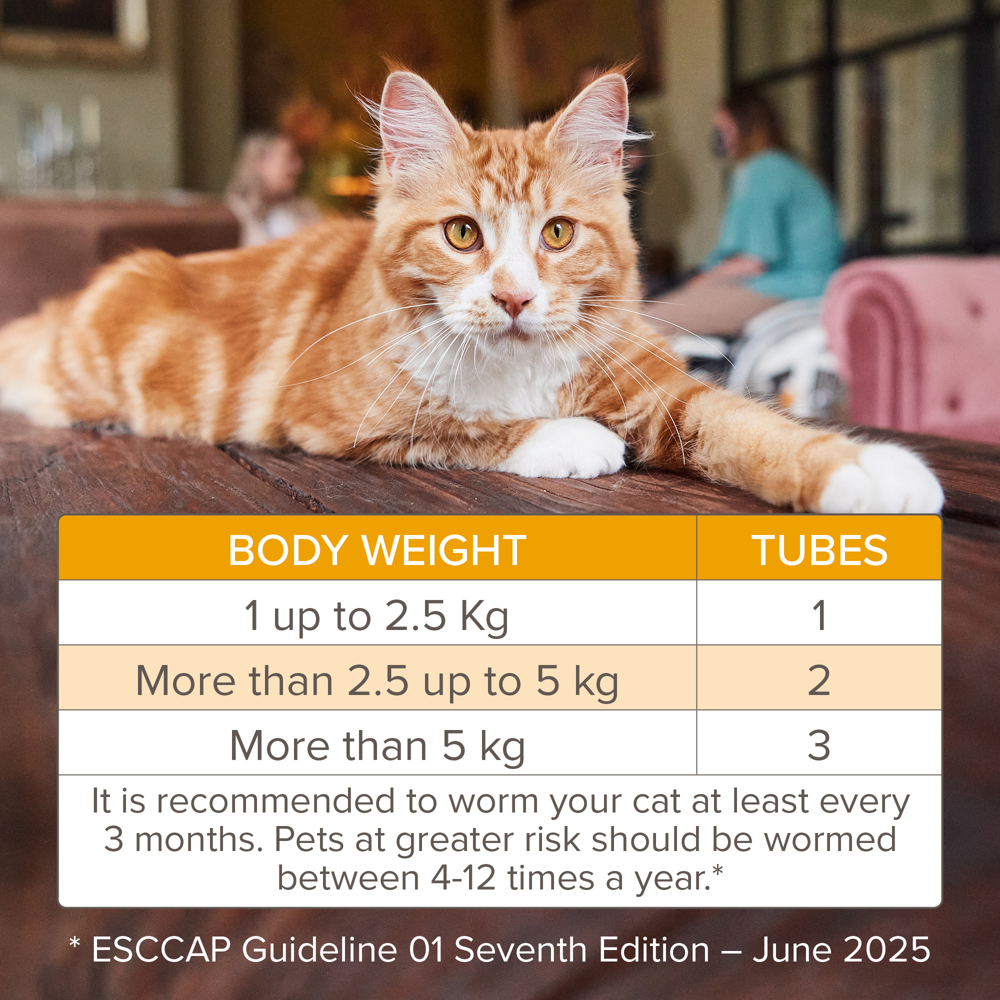 Beaphar WORMclear® Spot-On for Cats – 2 Pipettes